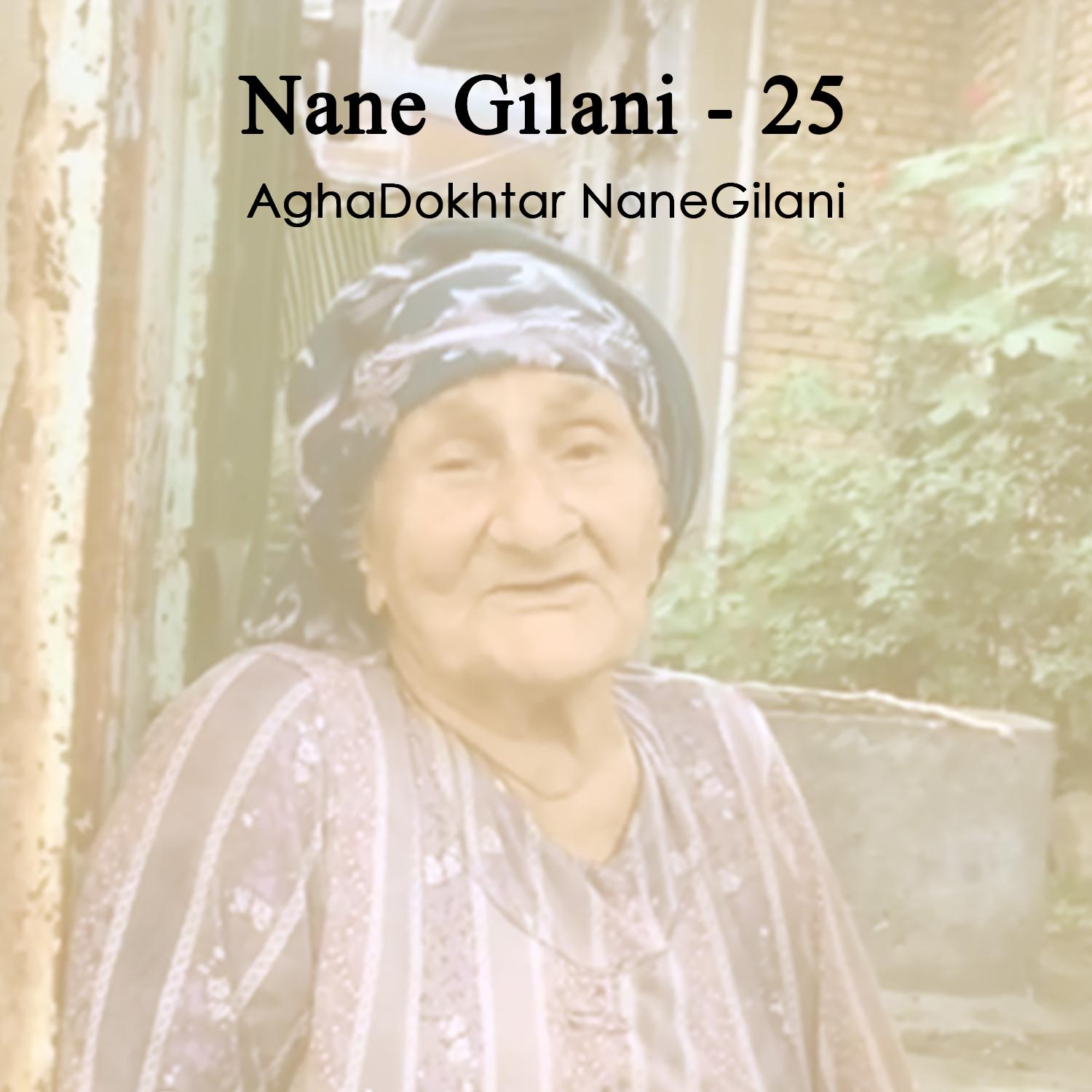 Постер альбома Nane Gilani - 25