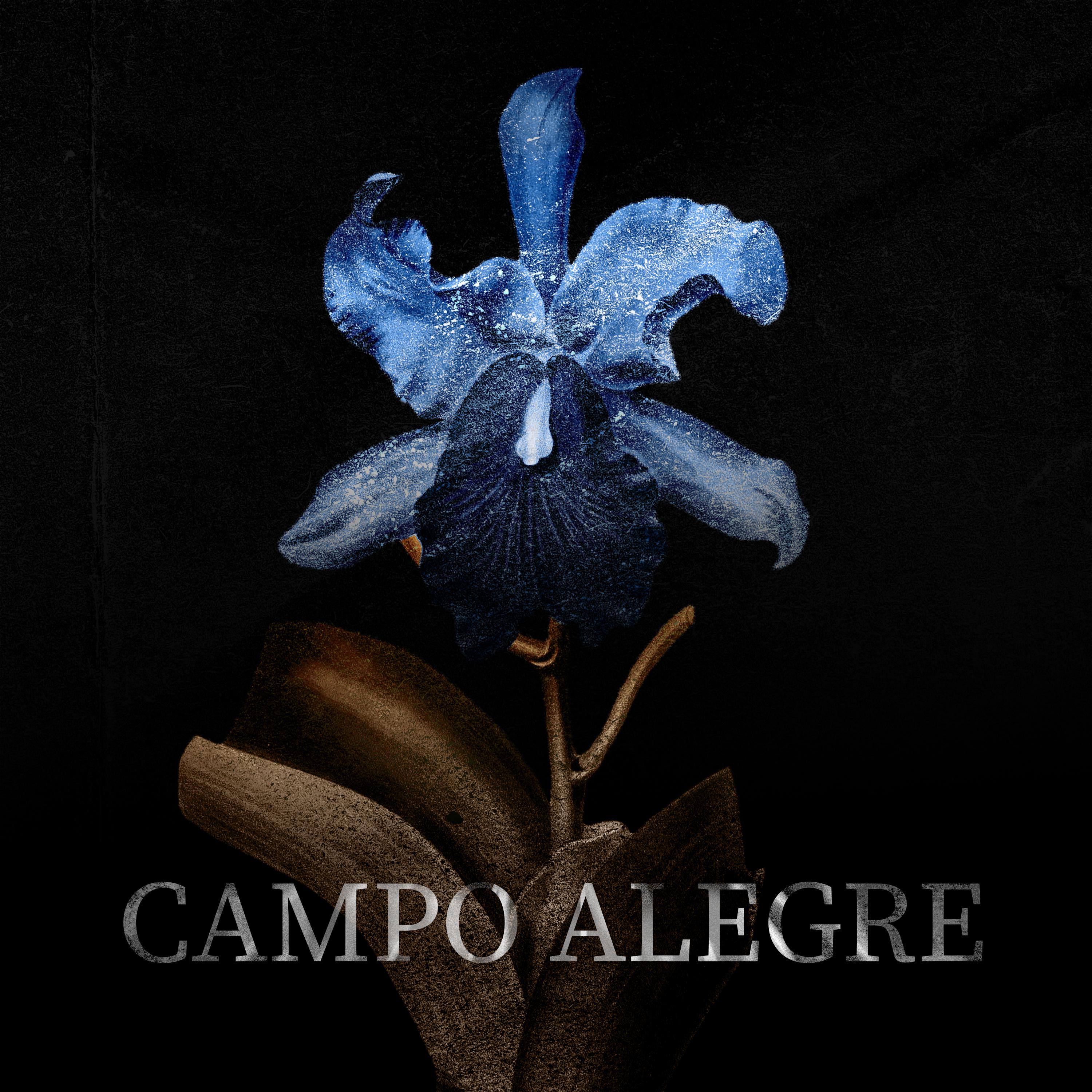 Постер альбома Campo Alegre