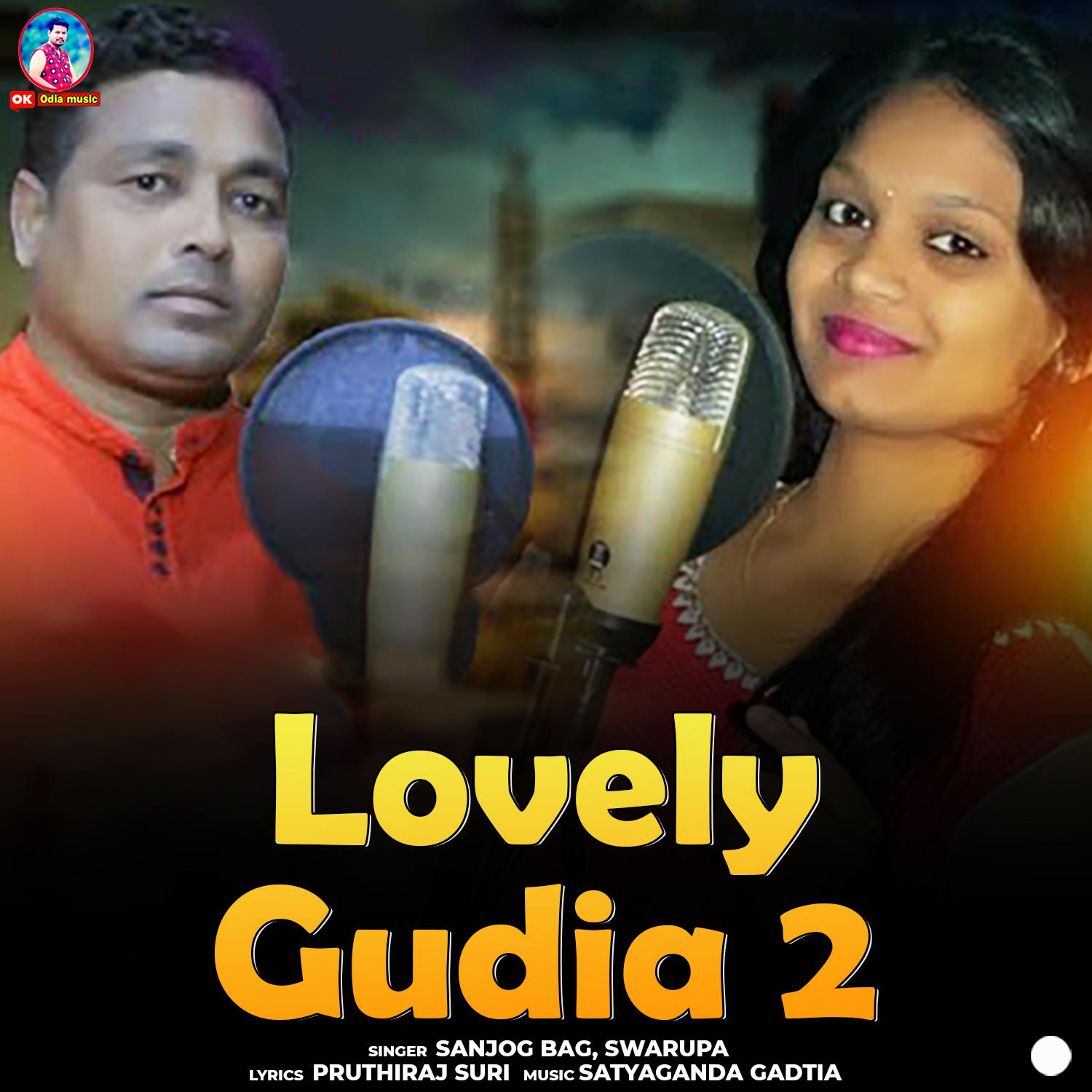 Постер альбома Lovely Gudia 2