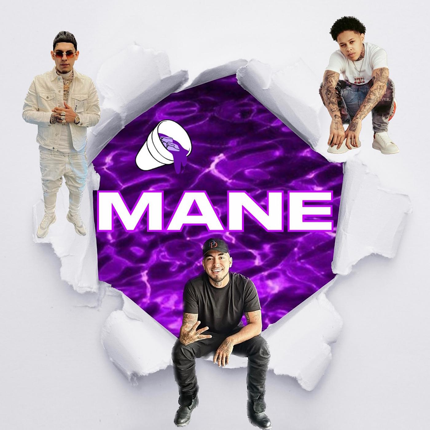 Постер альбома Mane
