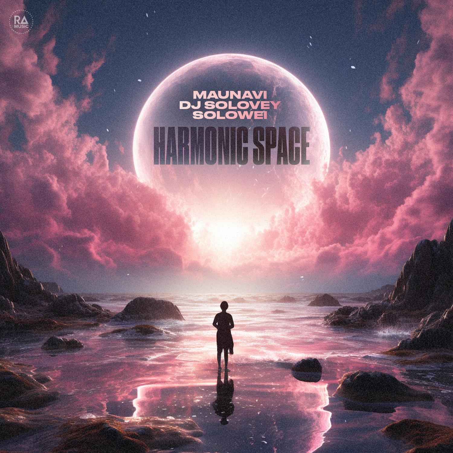 Постер альбома Harmonic Space