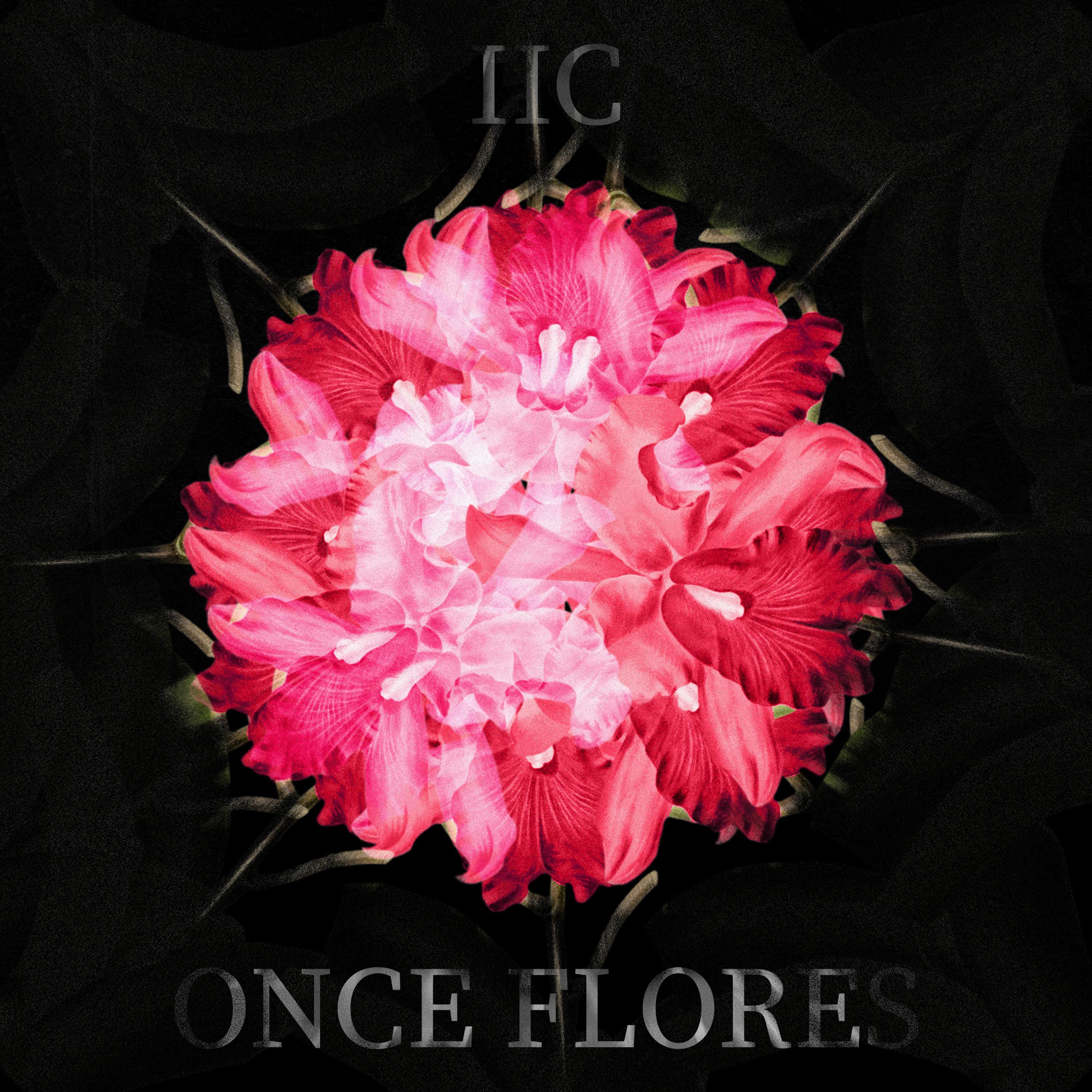 Постер альбома Once Flores