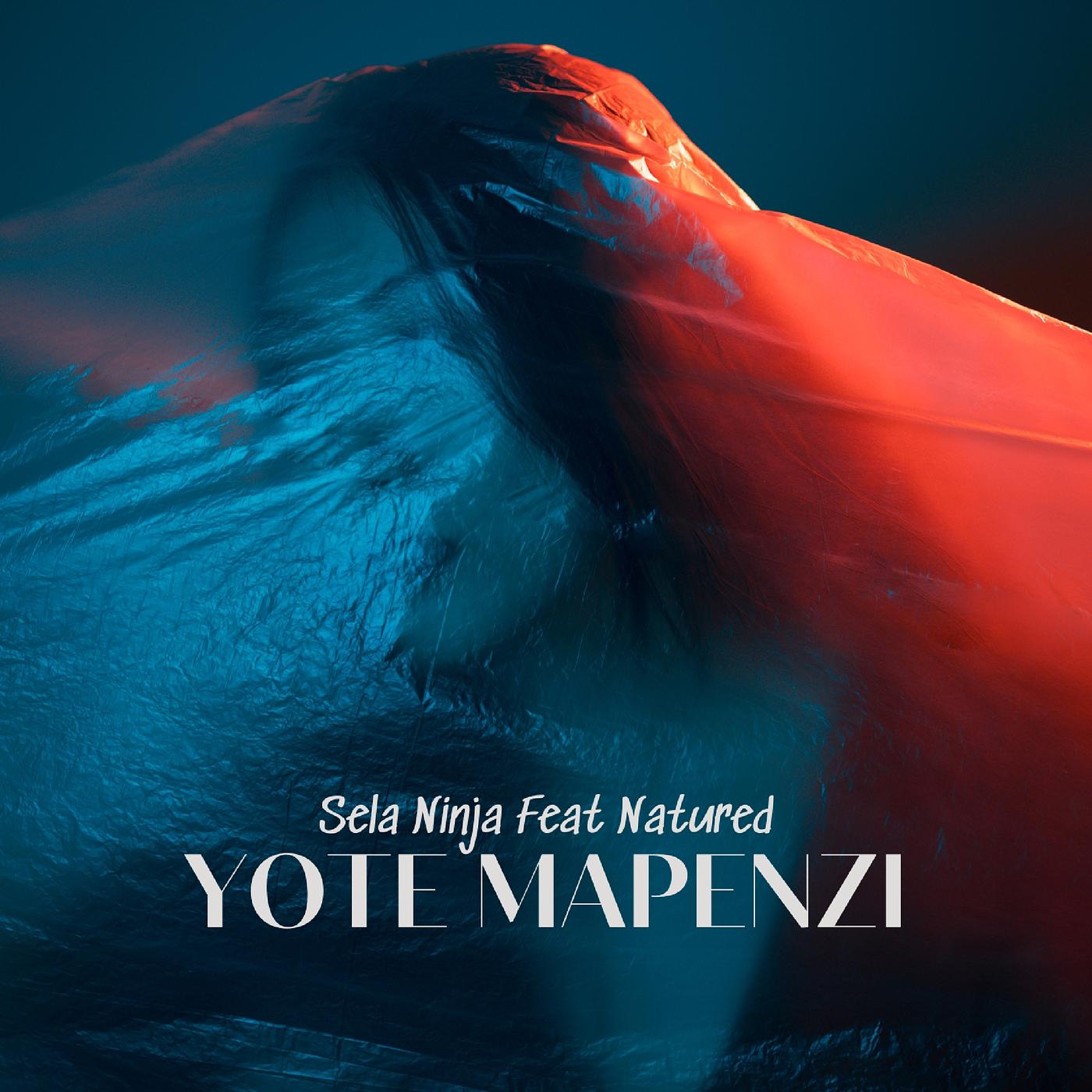 Постер альбома Yote Mapenzi