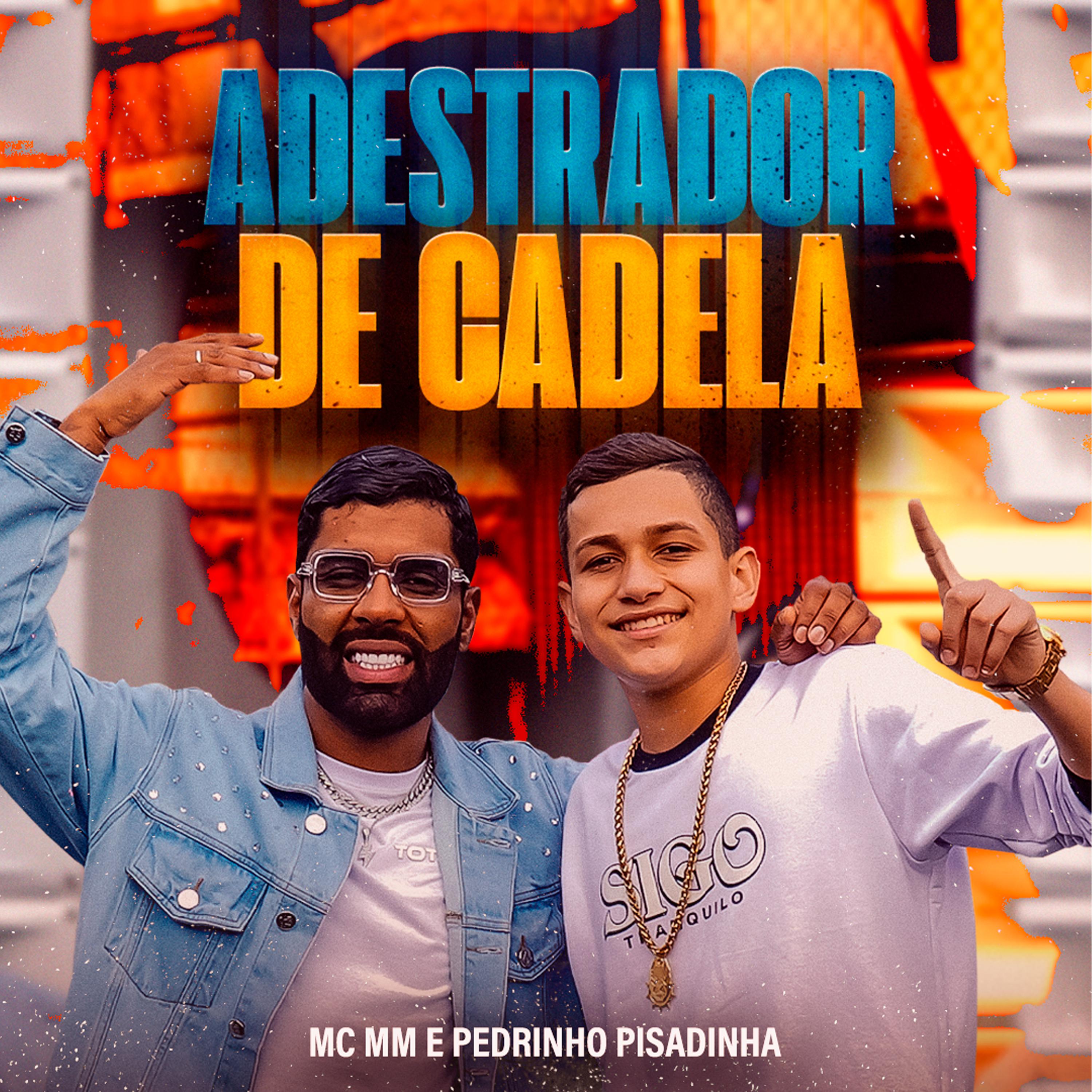 Постер альбома Adestrador De Cadela
