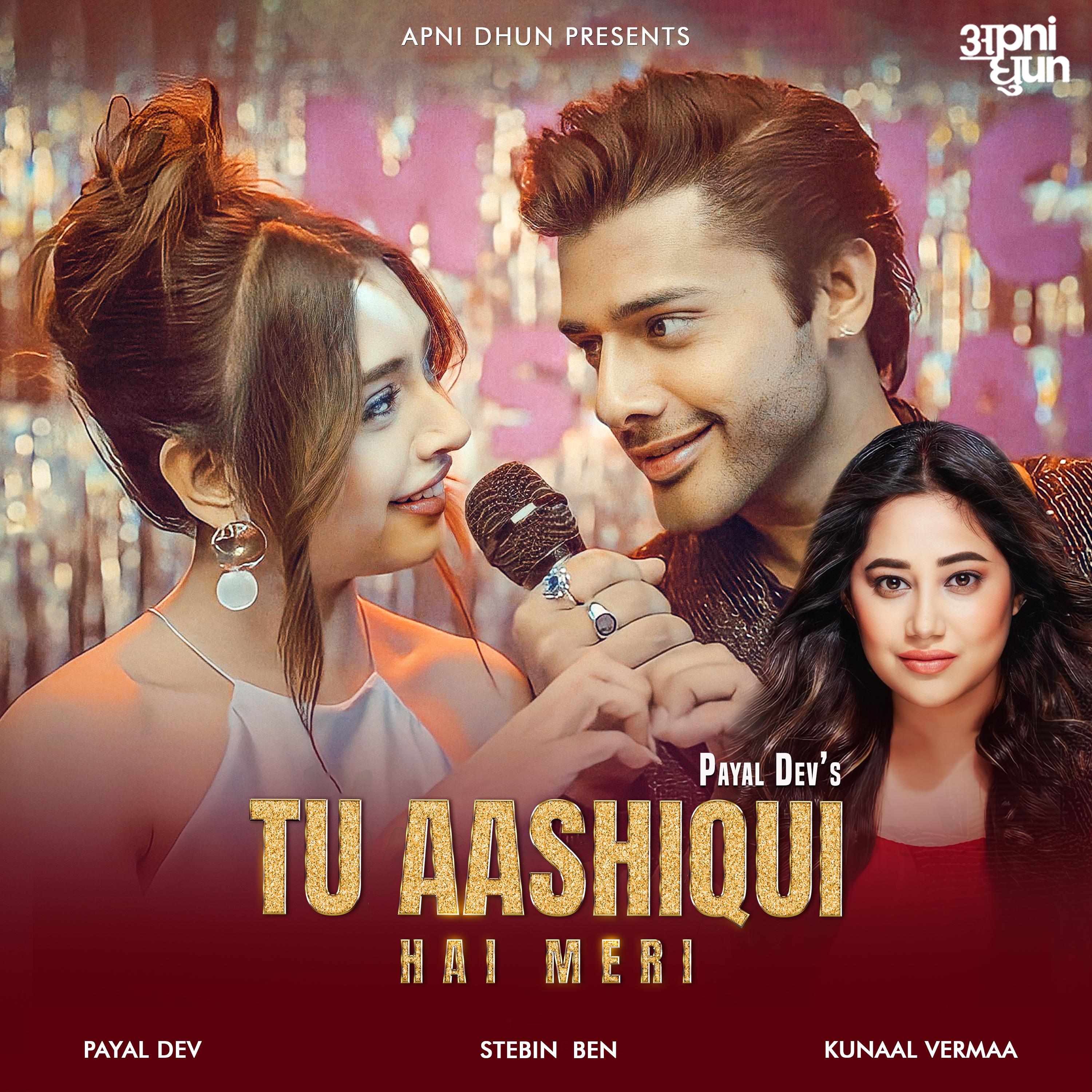 Постер альбома Tu Aashiqui Hai Meri