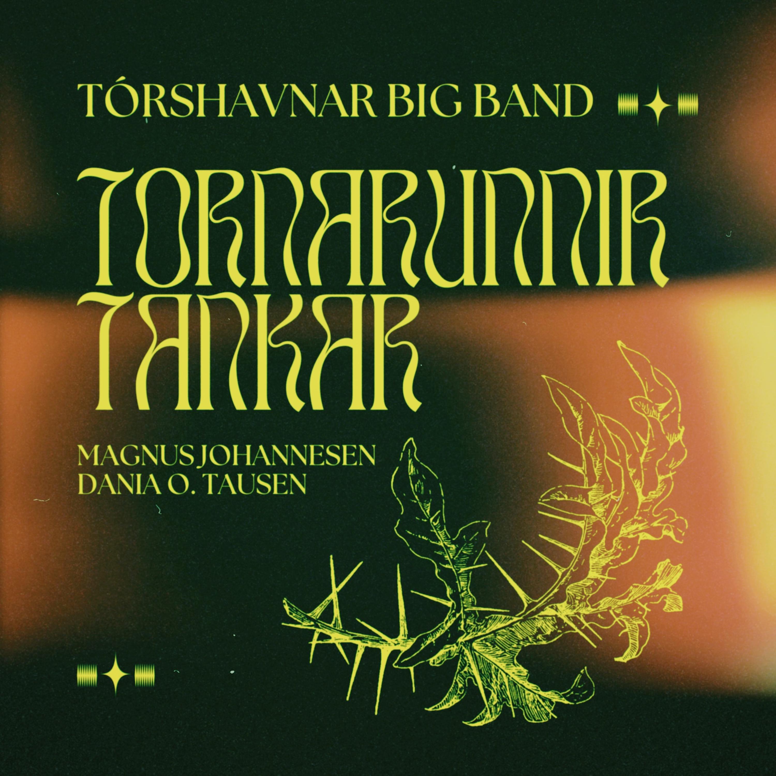 Постер альбома Tornarunnir tankar
