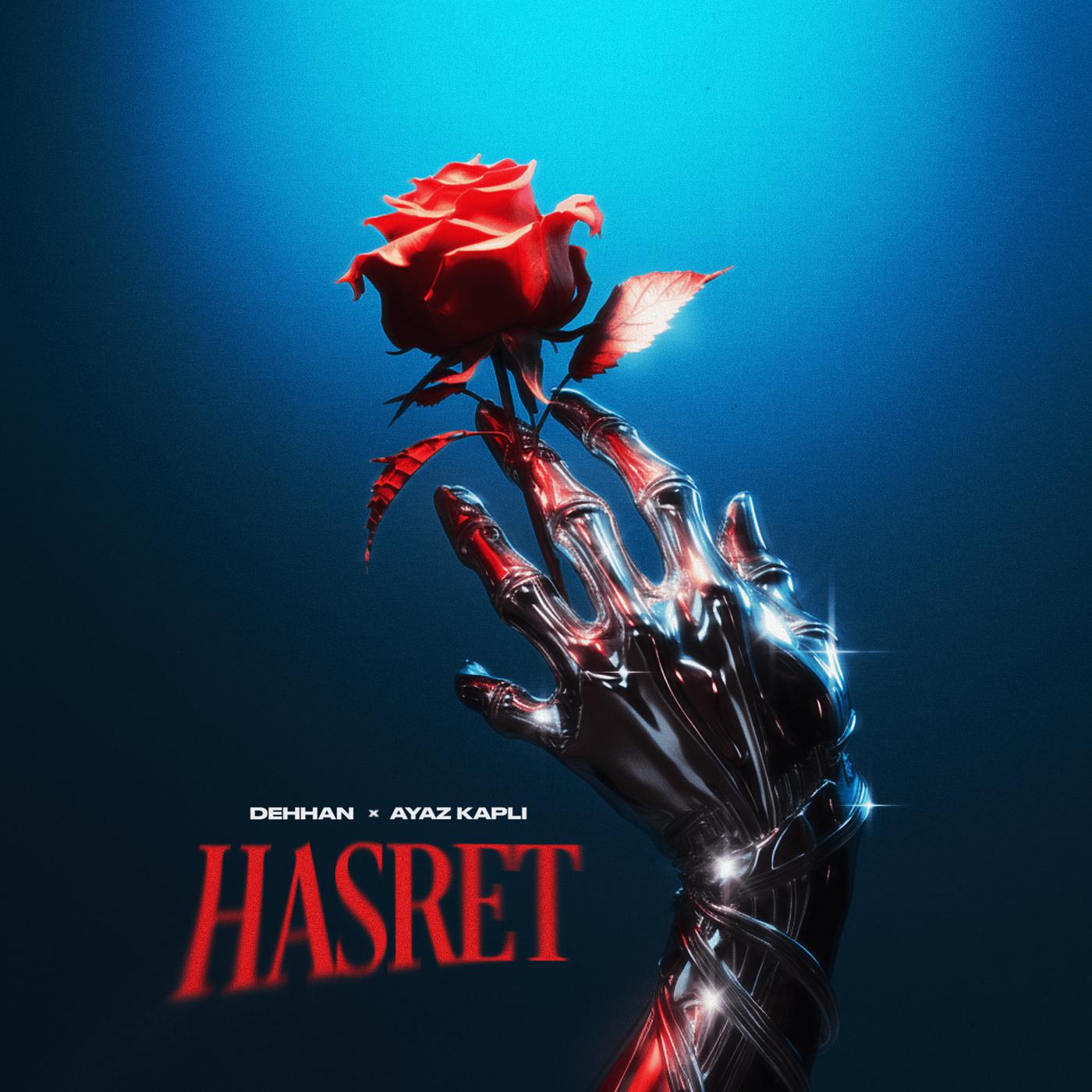 Постер альбома Hasret