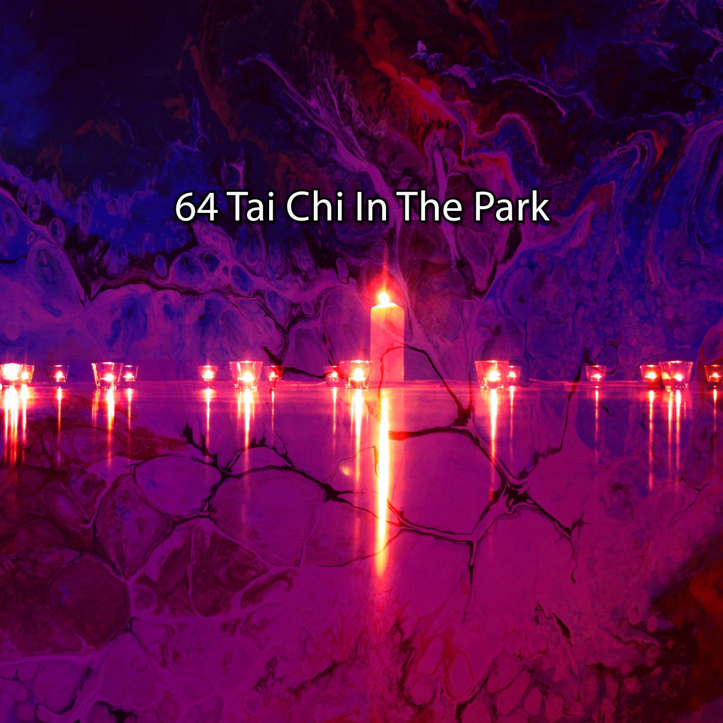 Постер альбома 64 Tai Chi In The Park