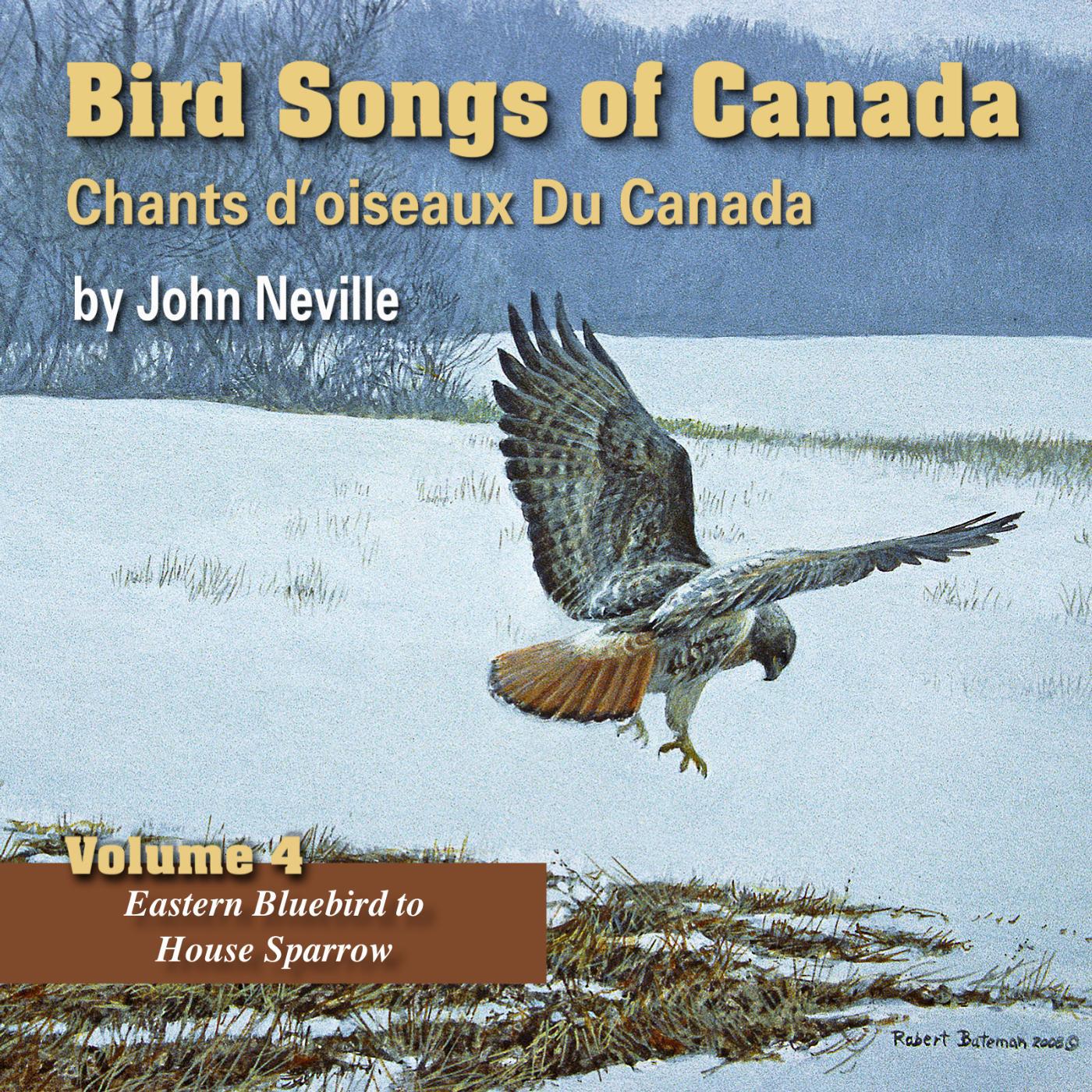 Постер альбома Bird Songs of Canada, Vol. 4