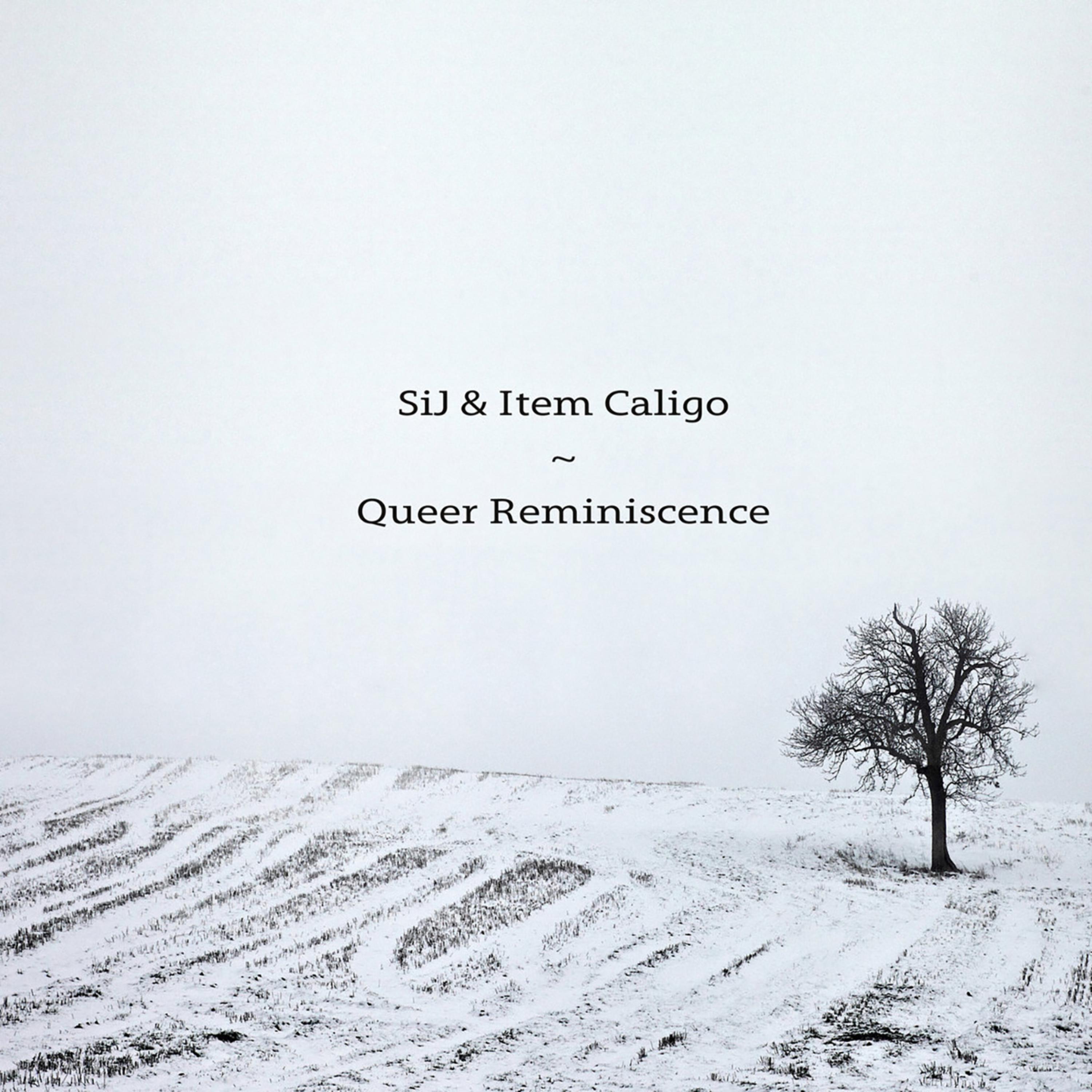Постер альбома Queer Reminiscence