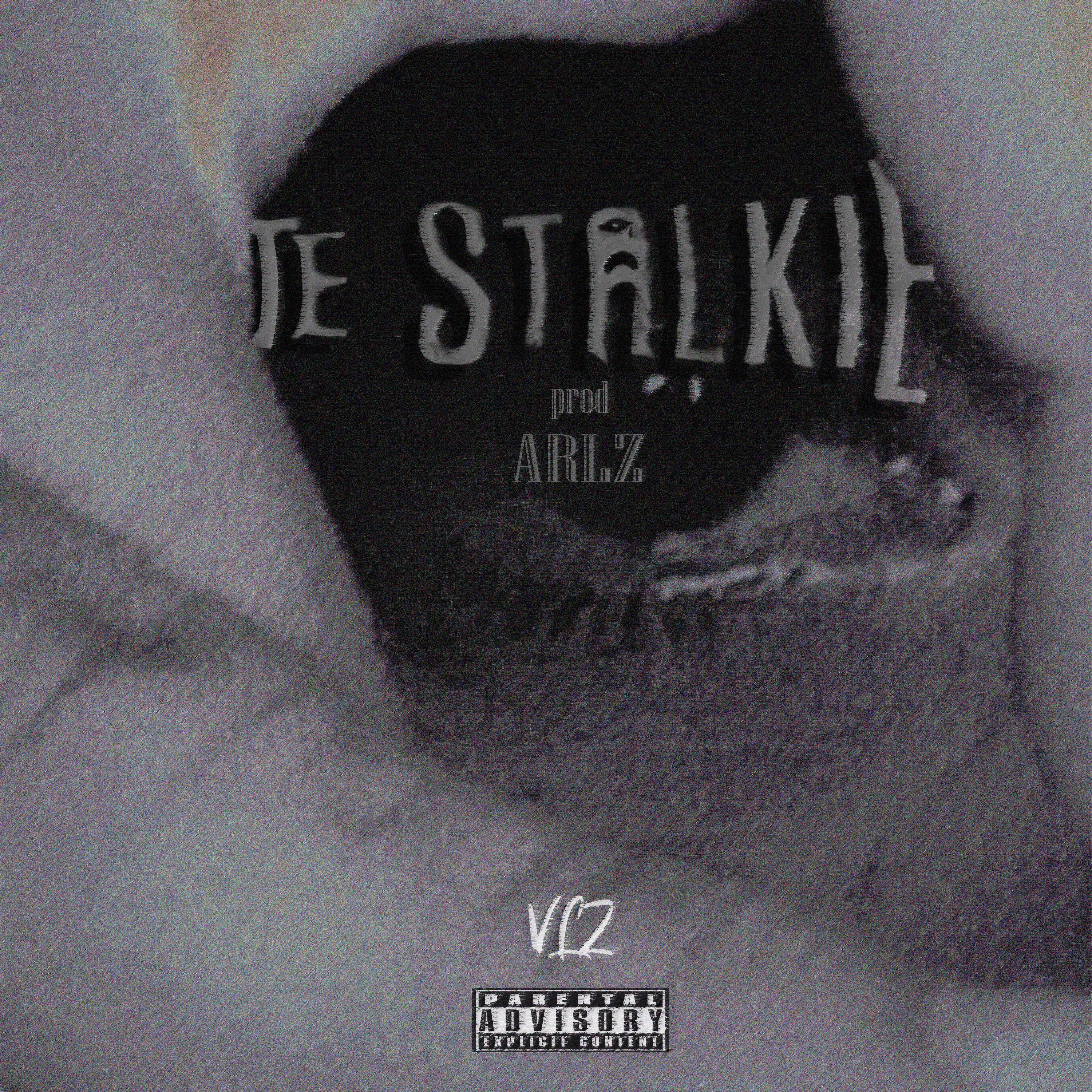 Постер альбома Te Stalkie