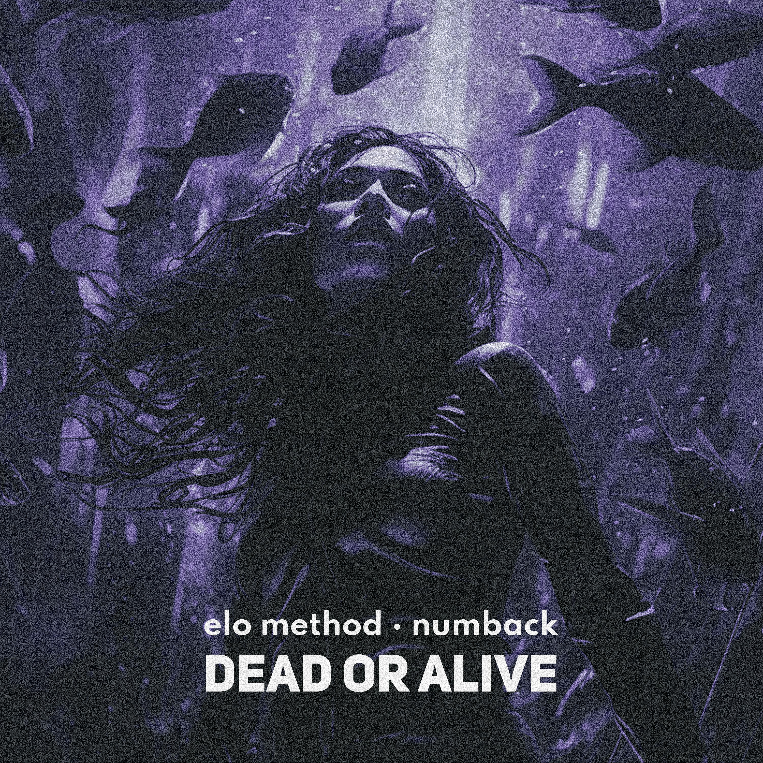 Постер альбома Dead or Alive
