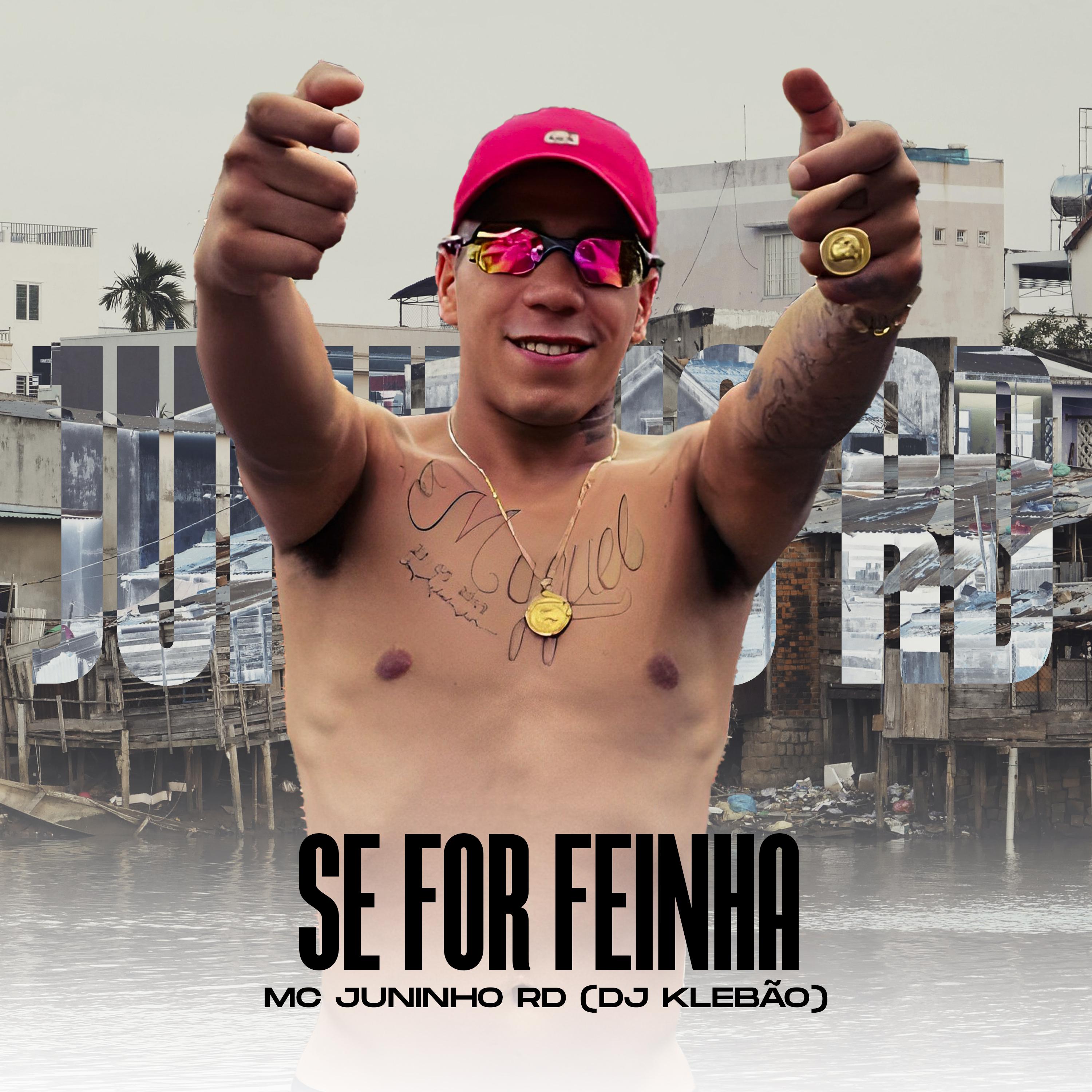 Постер альбома Se For Feinha