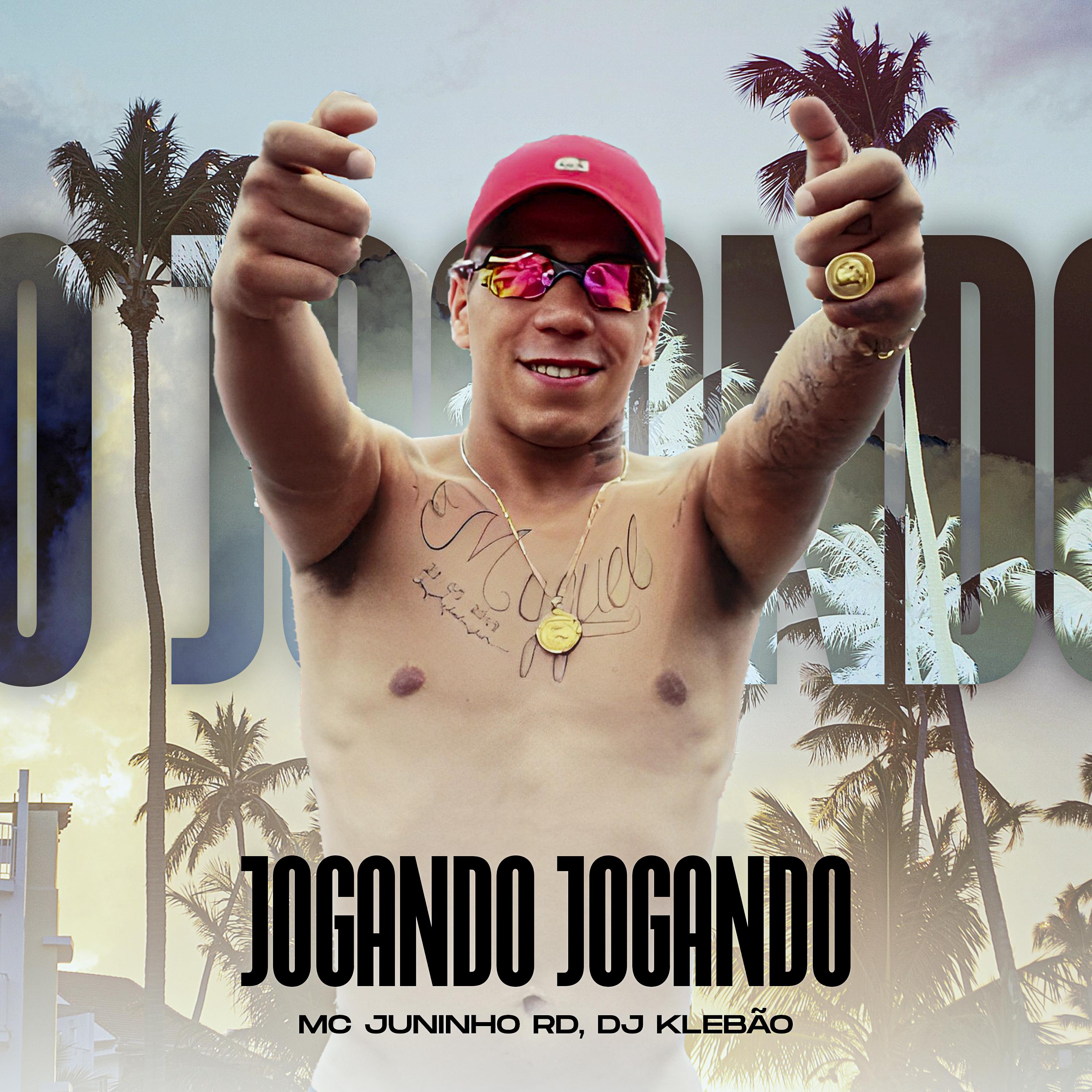 Постер альбома Jogando Jogando