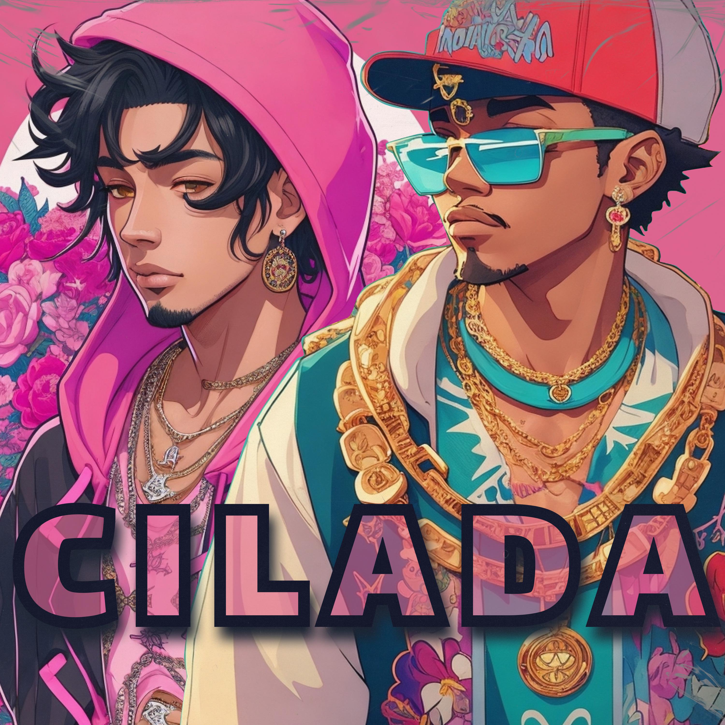 Постер альбома Cilada
