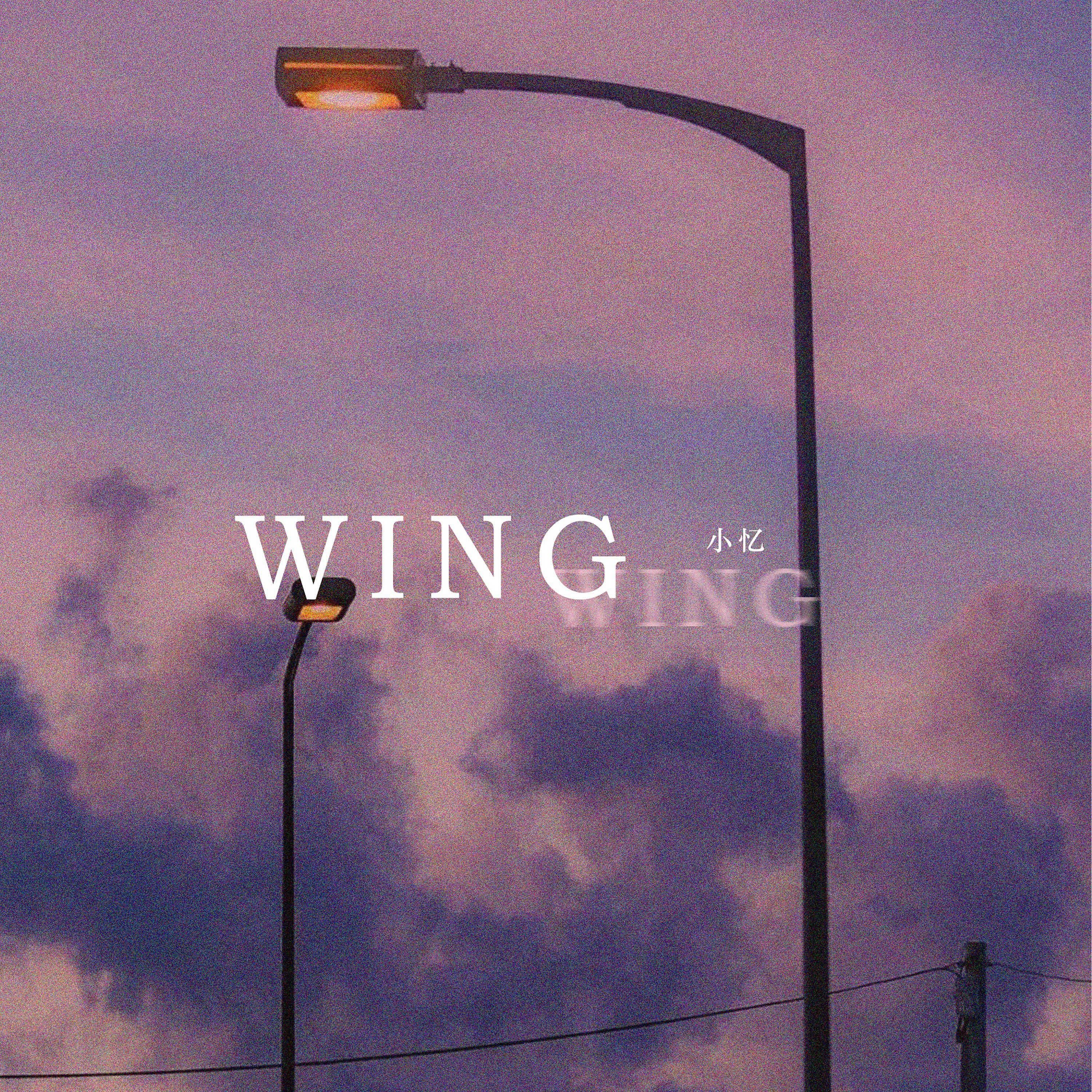 Постер альбома Wing Wing