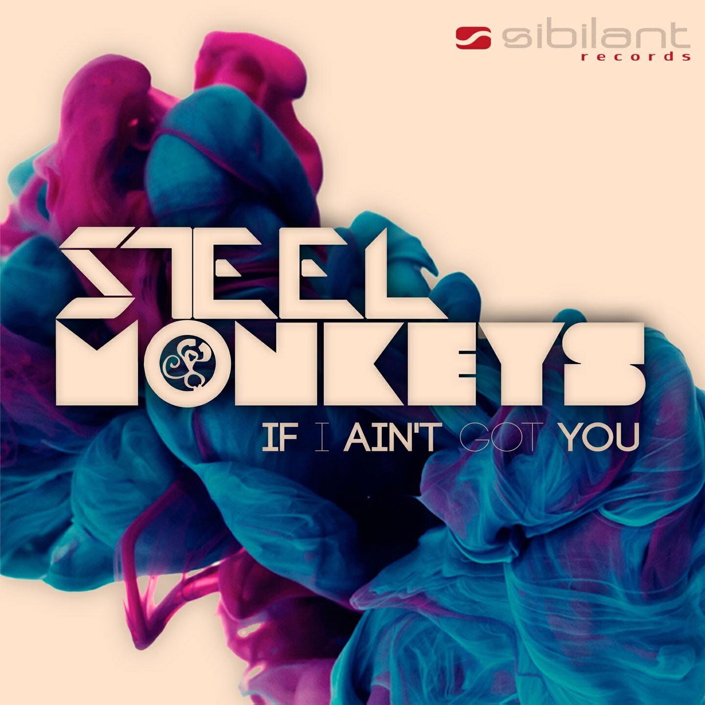 Steel Monkeys - If I Ain't Got You (Vincenzo De Robertis Remix)