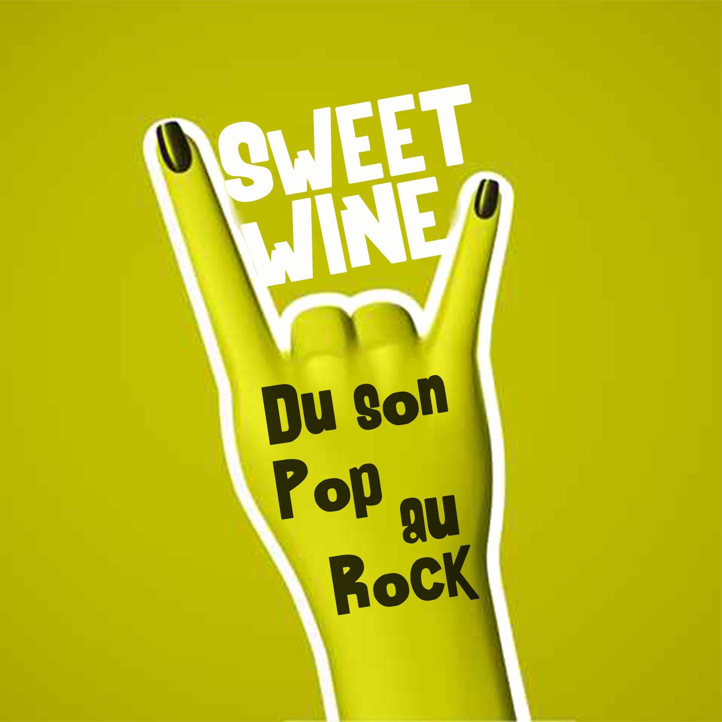 Постер альбома Du son Pop au Rock