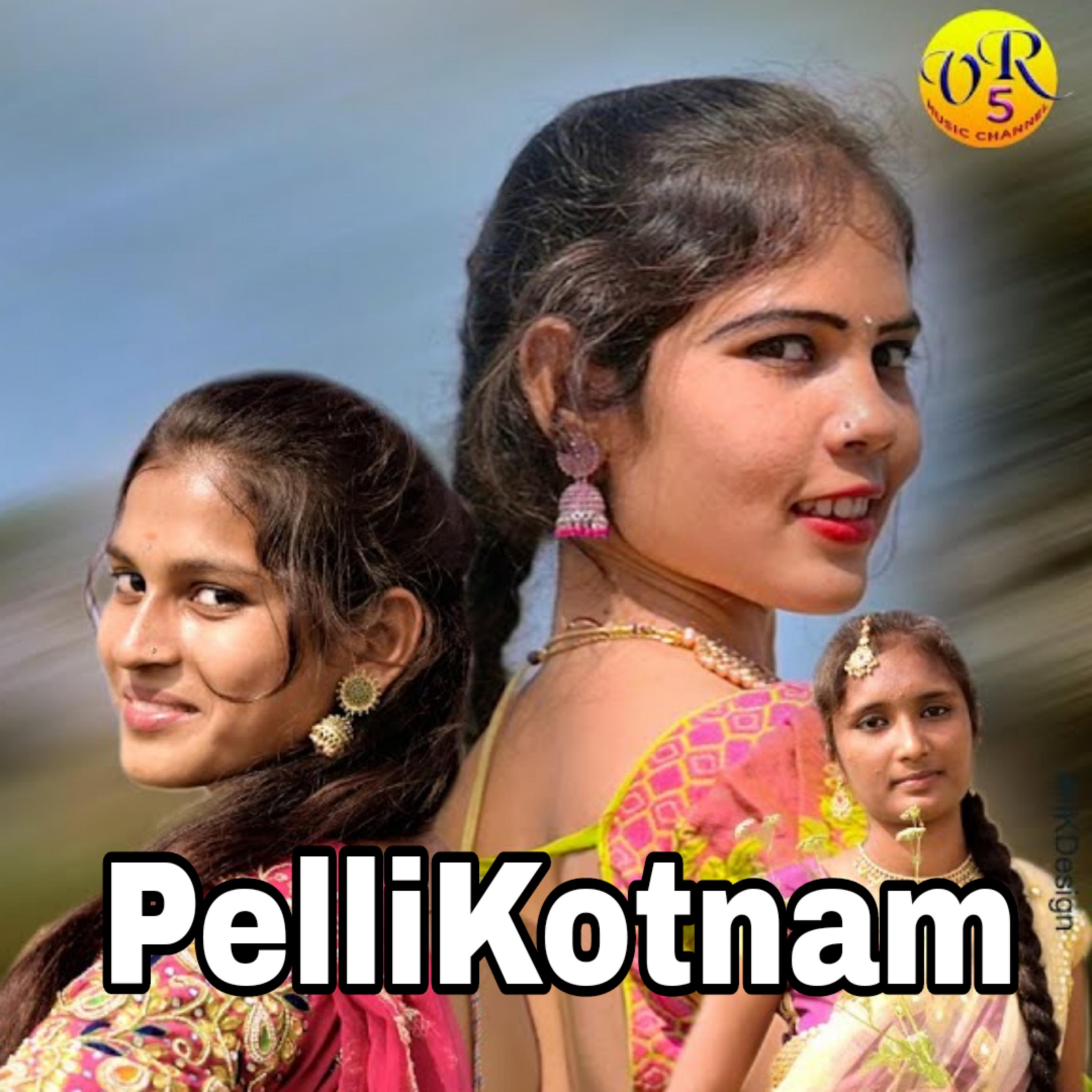 Постер альбома PelliKotnam