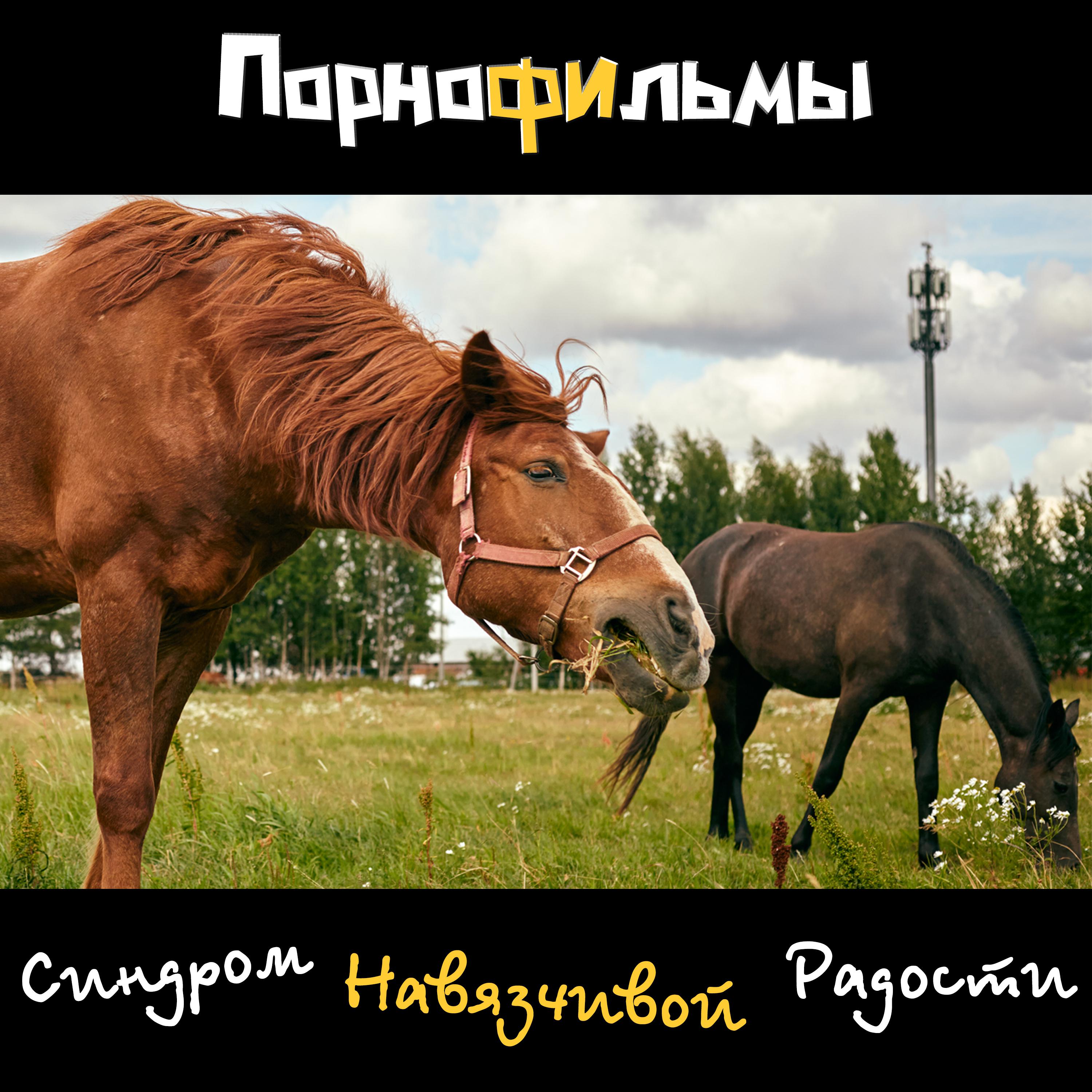 Постер альбома Порнофильмы