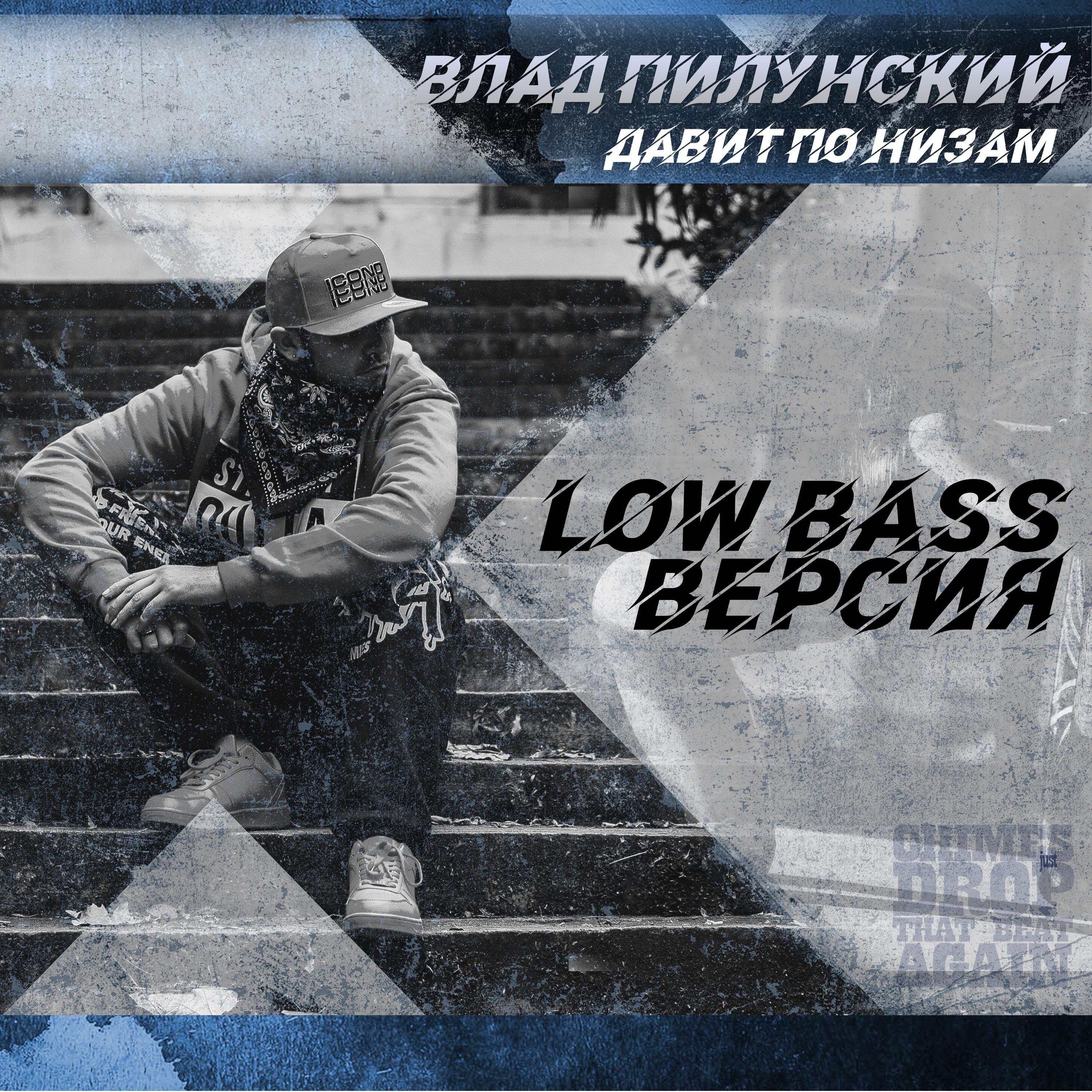 Постер альбома Давит по низам (Low Bass Версия)