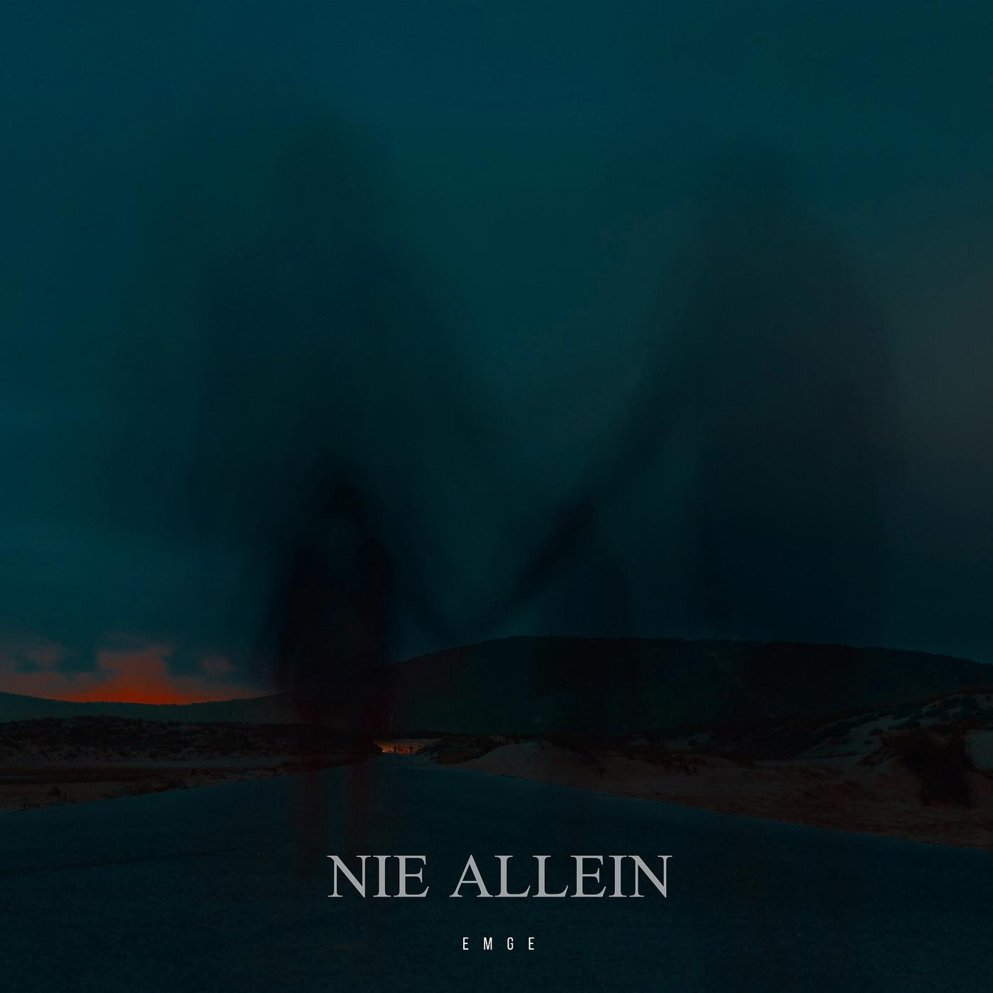 Постер альбома Nie Allein