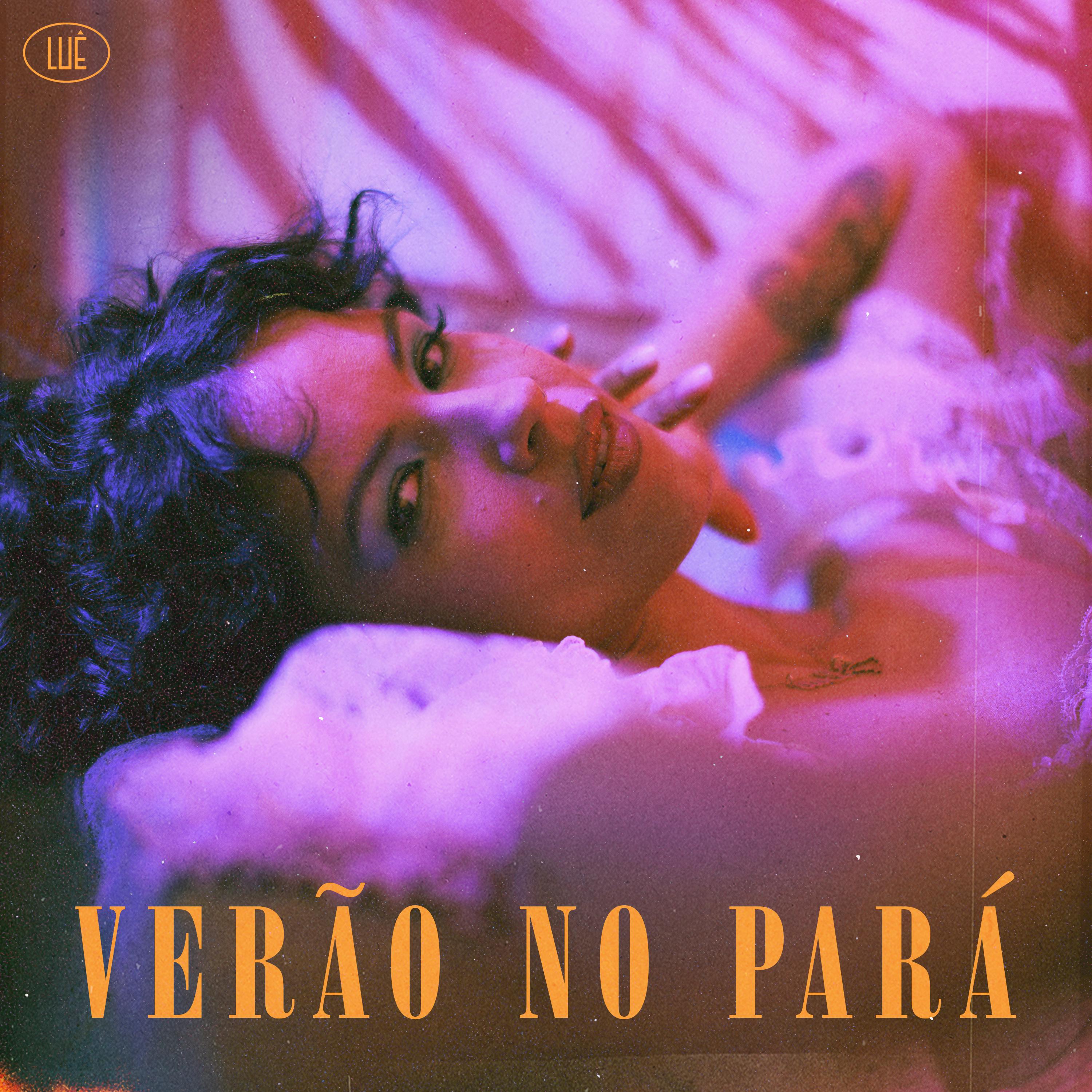 Постер альбома Verão no Pará