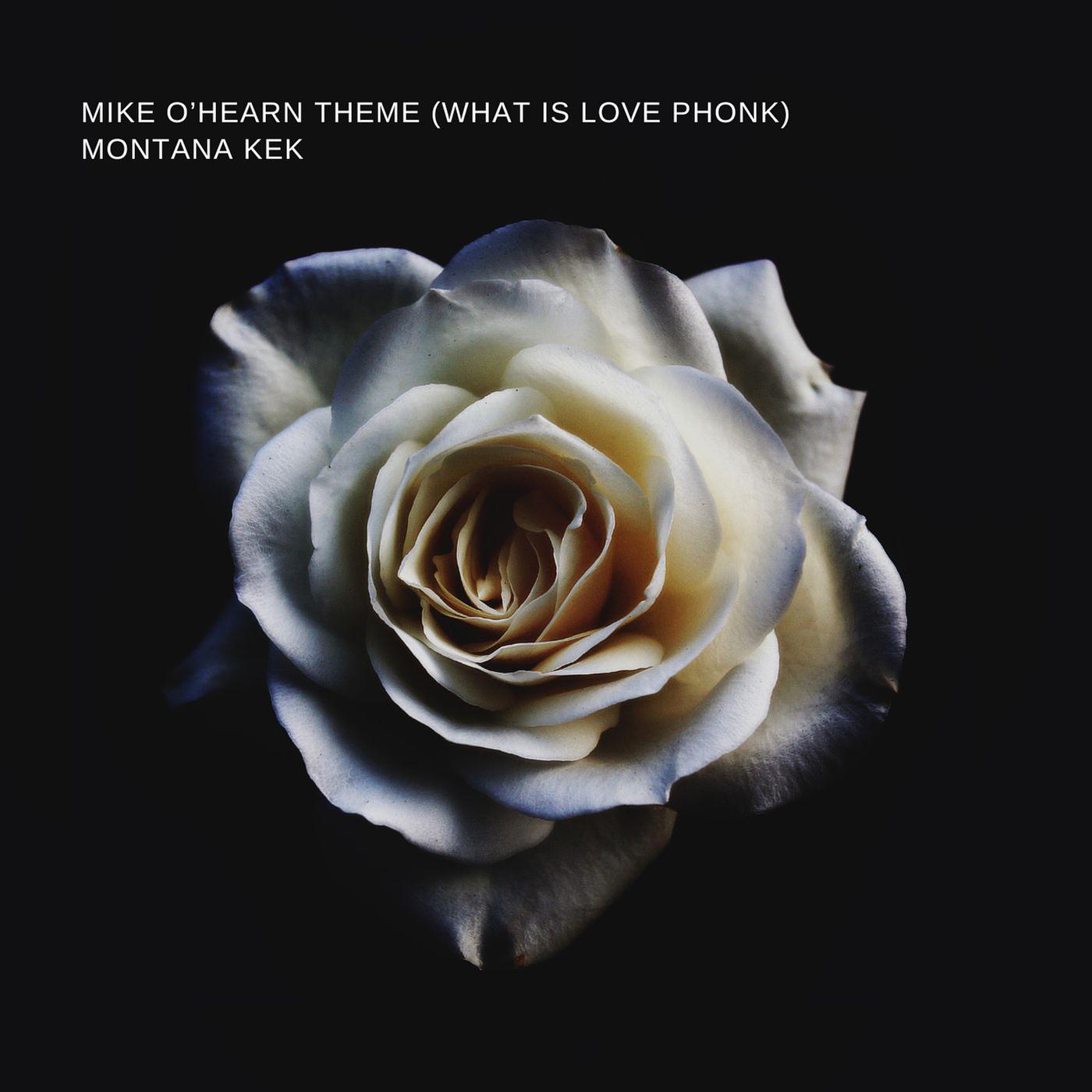 Постер альбома Mike O’hearn Theme (What Is Love Phonk)