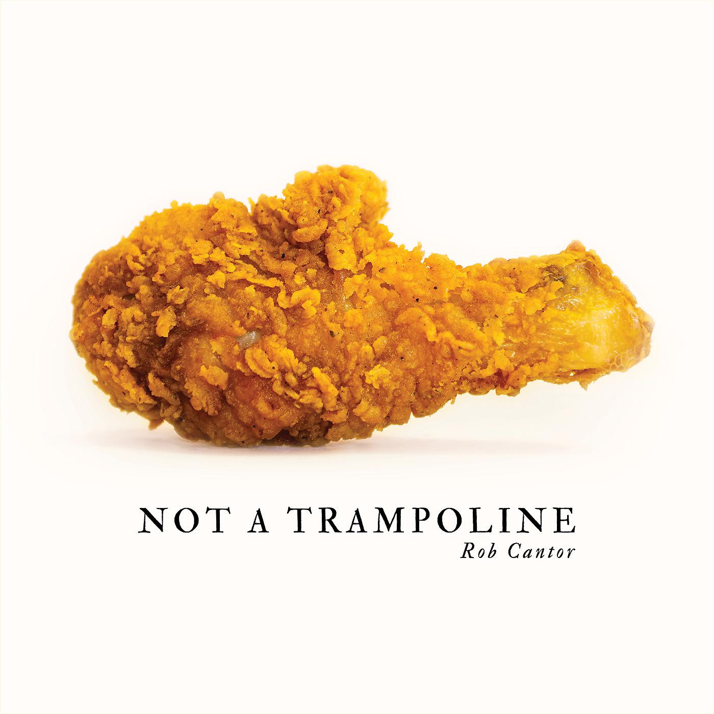 Постер альбома Not a Trampoline