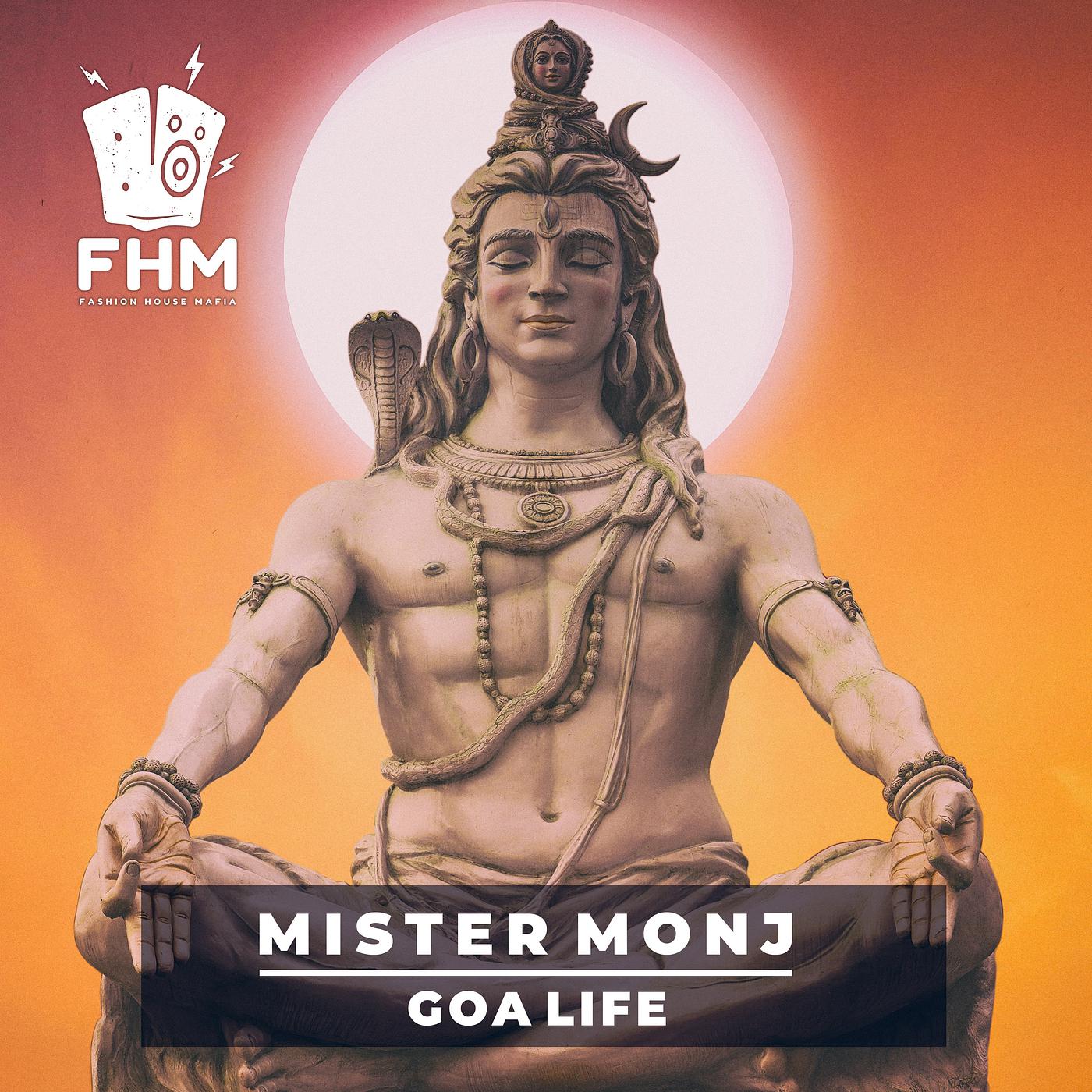 Постер альбома Goa Life