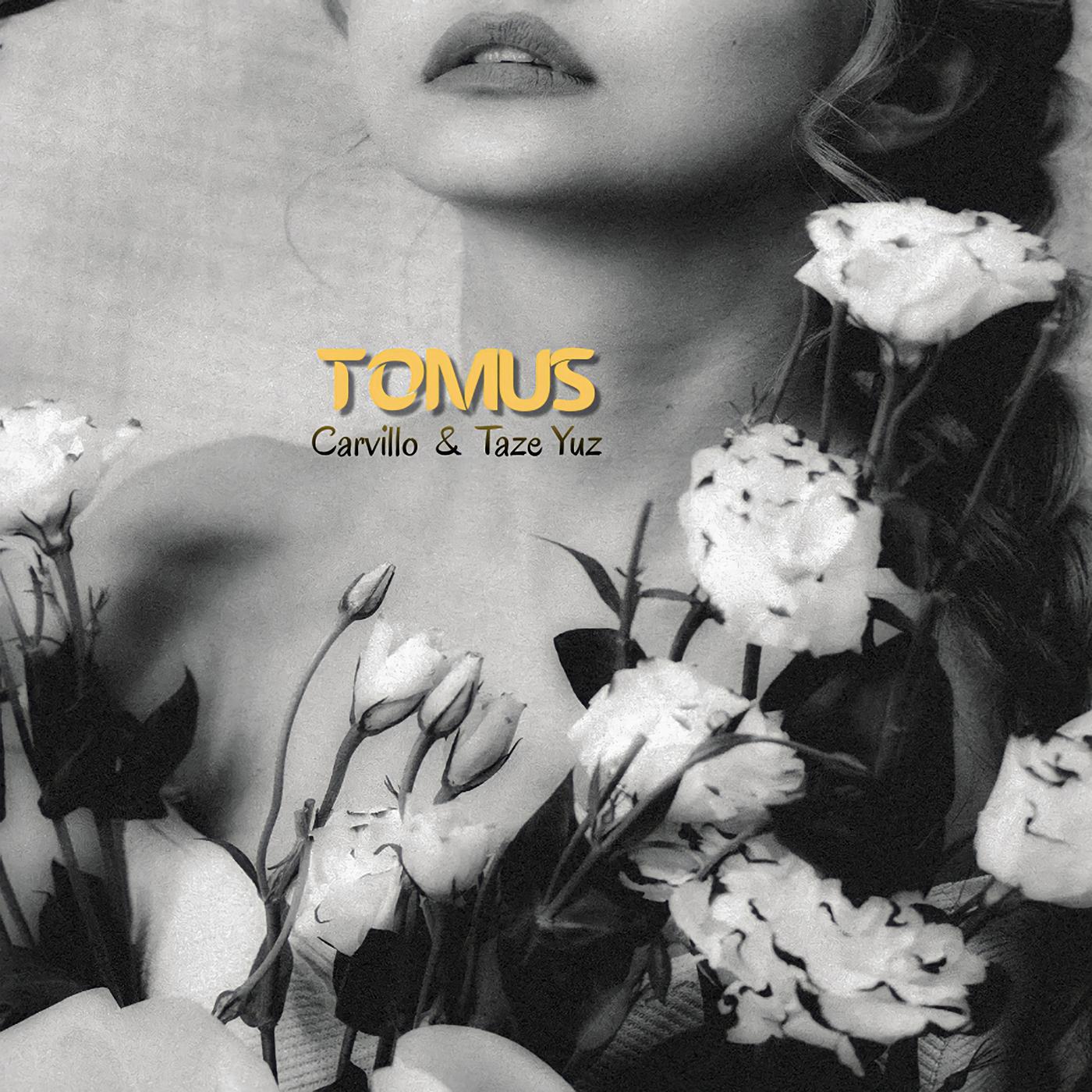Постер альбома Tomus