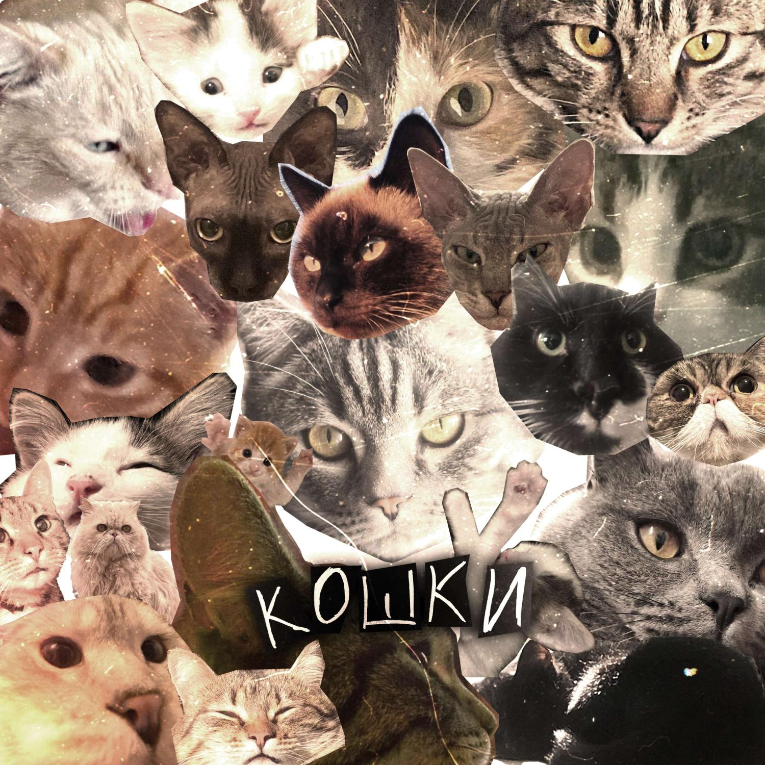 Постер альбома Кошки