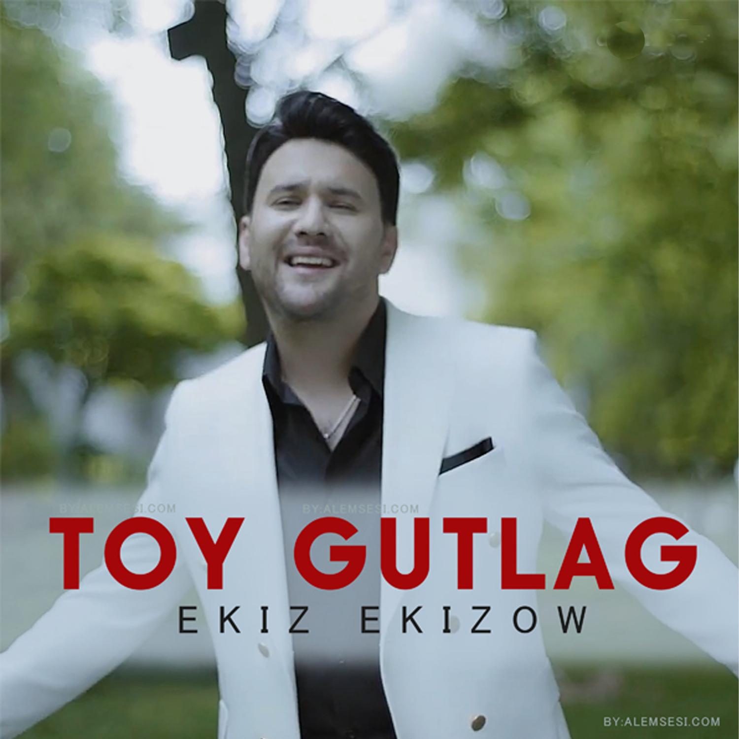 Постер альбома Toy Gutlag