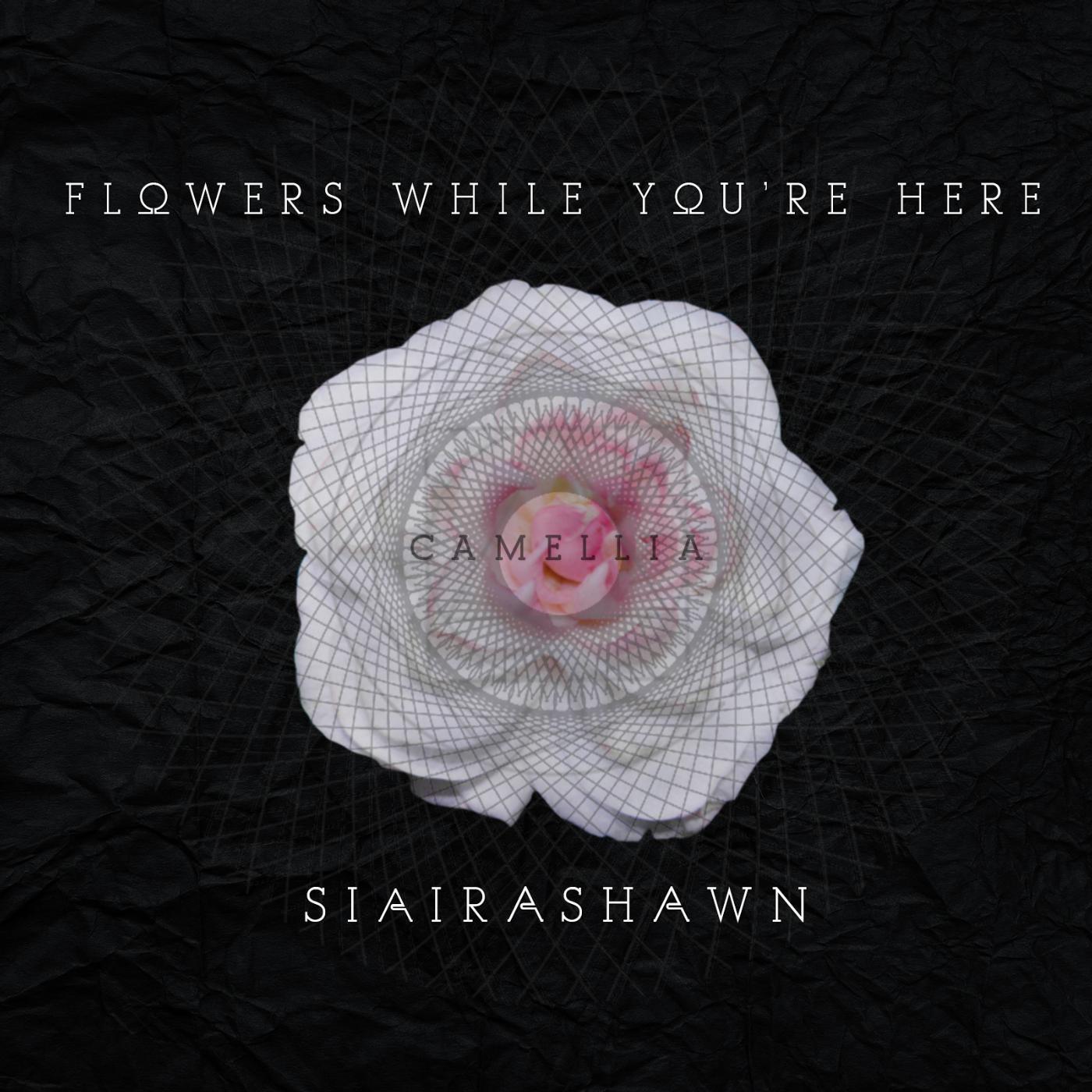 Постер альбома Flowers While You're Here: Camellia