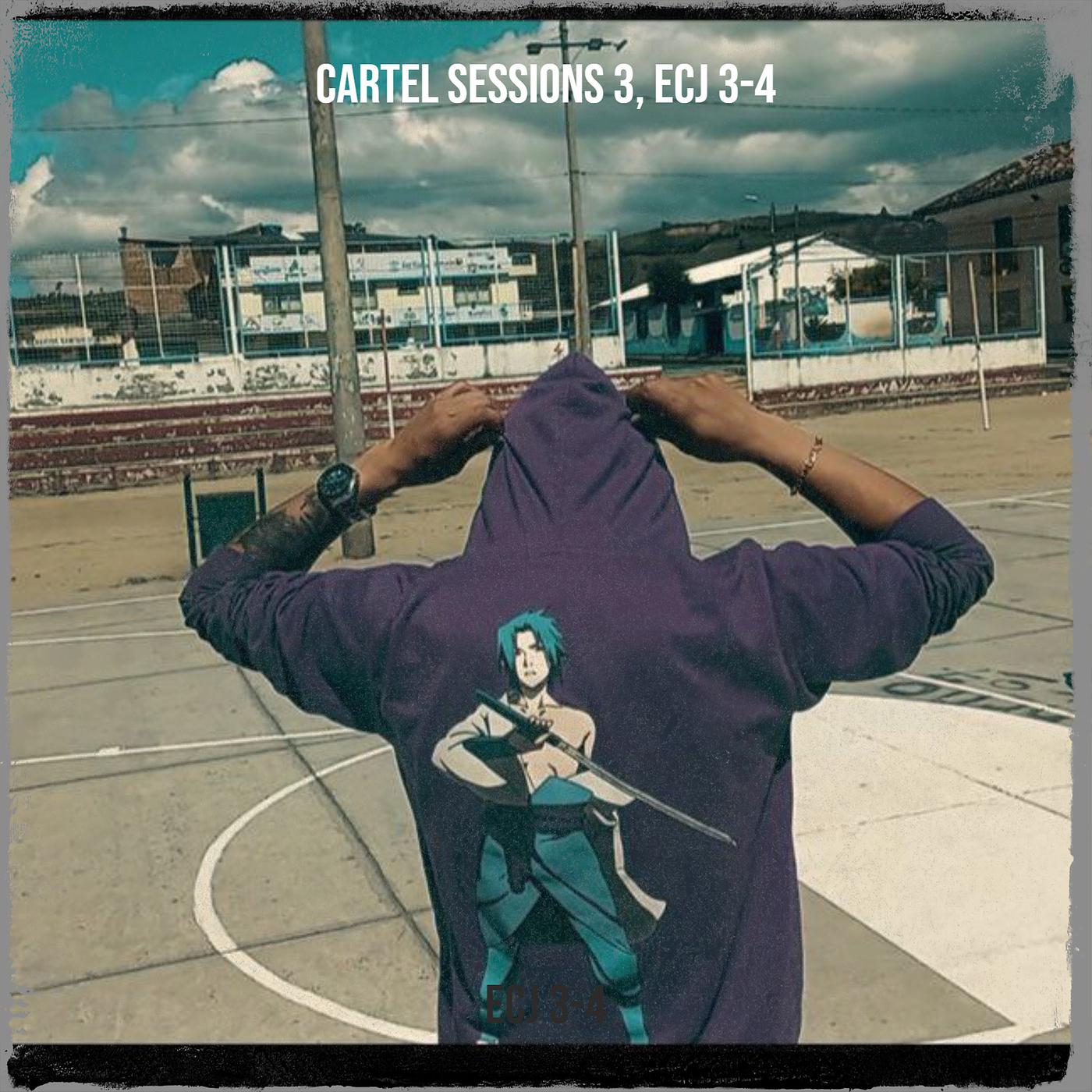 Постер альбома Cartel Sessions 3
