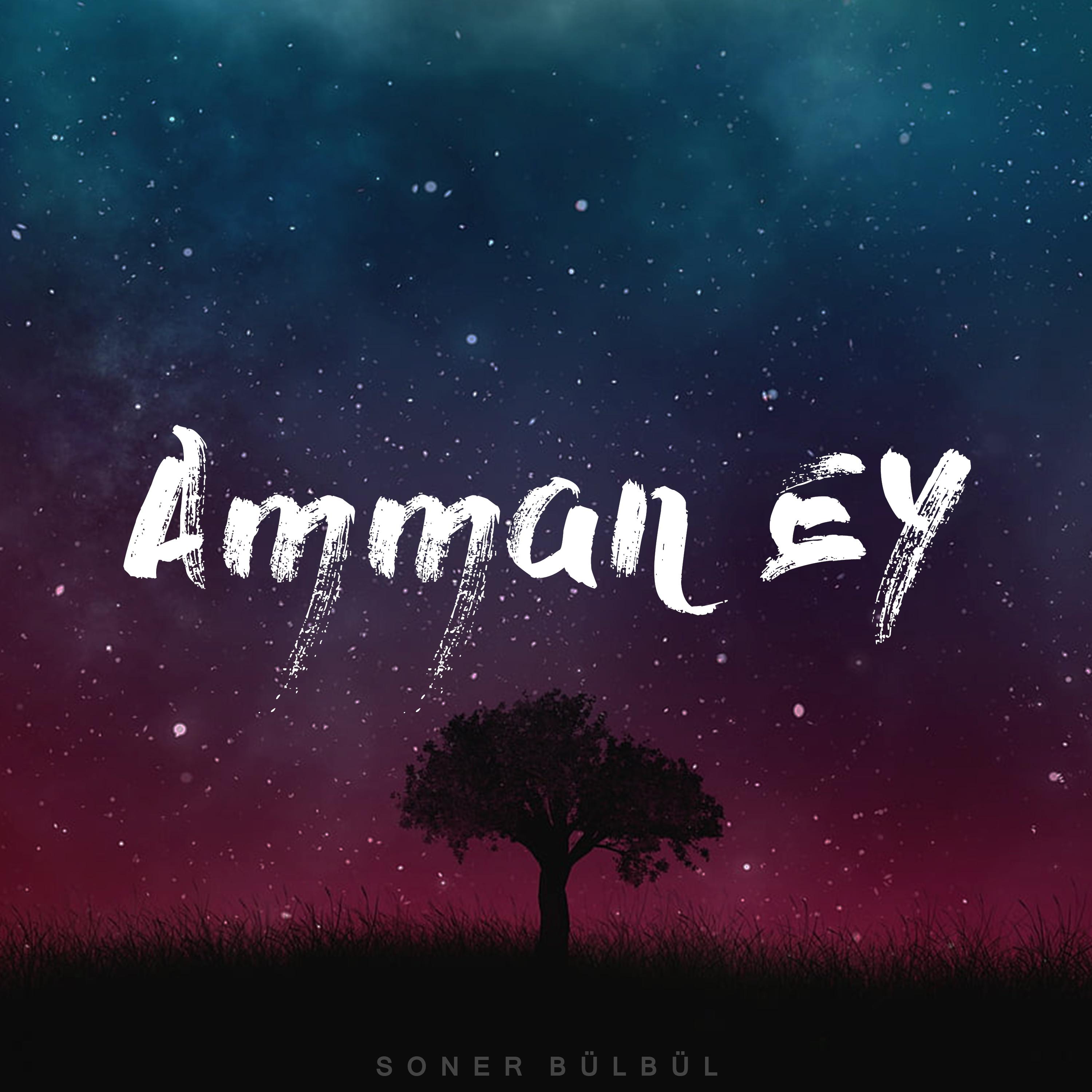 Постер альбома Amman Ey