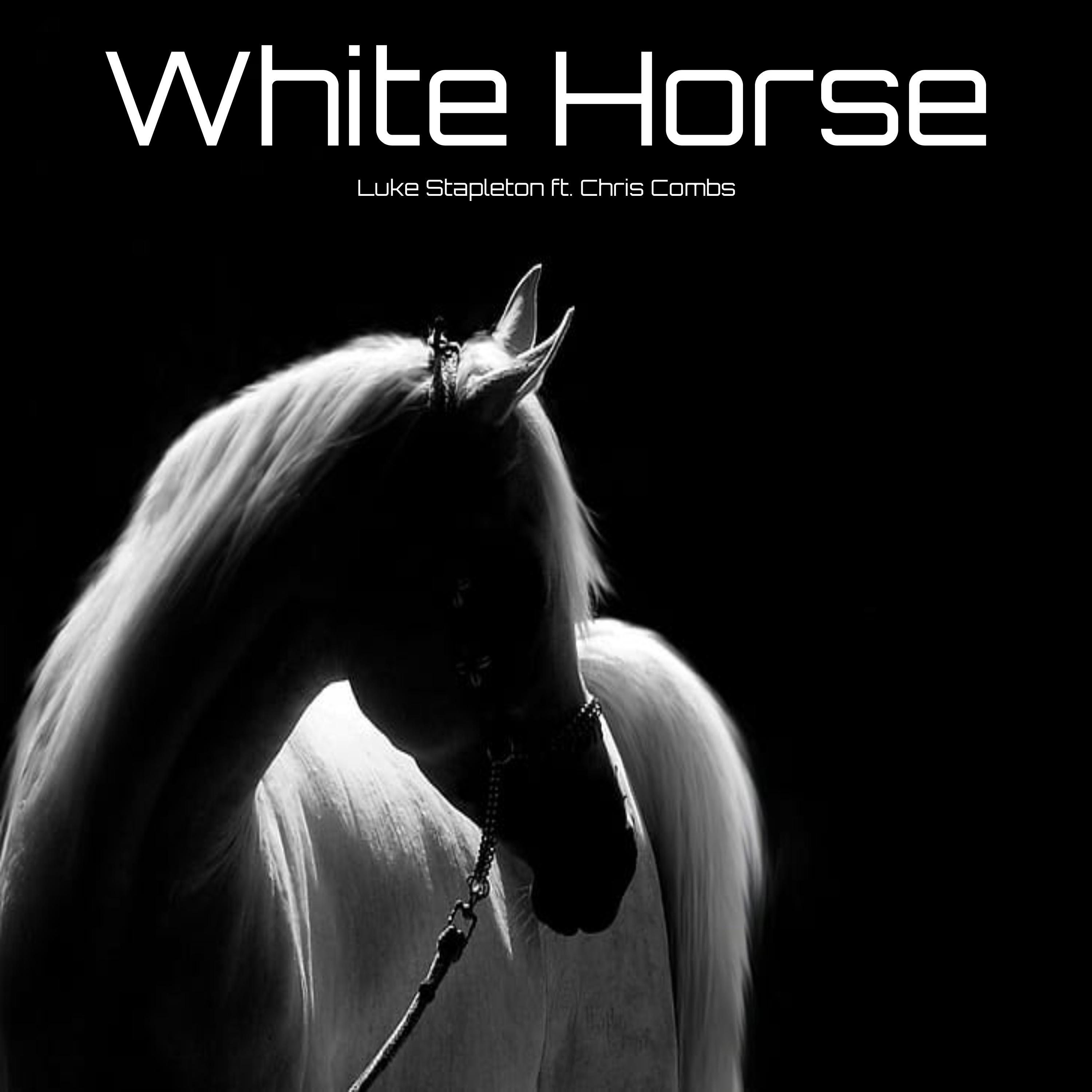 Постер альбома White Horse (feat. Chris Combs)