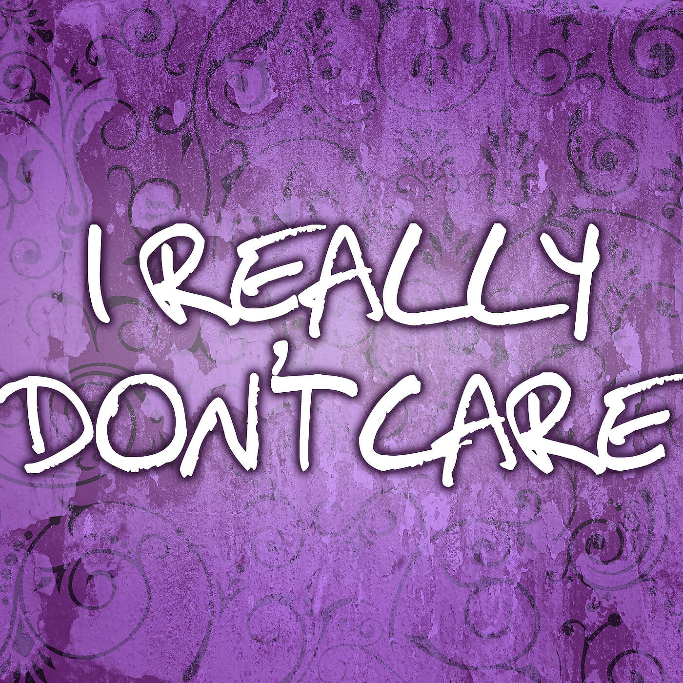 I Don't Fly - I Really Dont Care (Remix) [Instrumental]