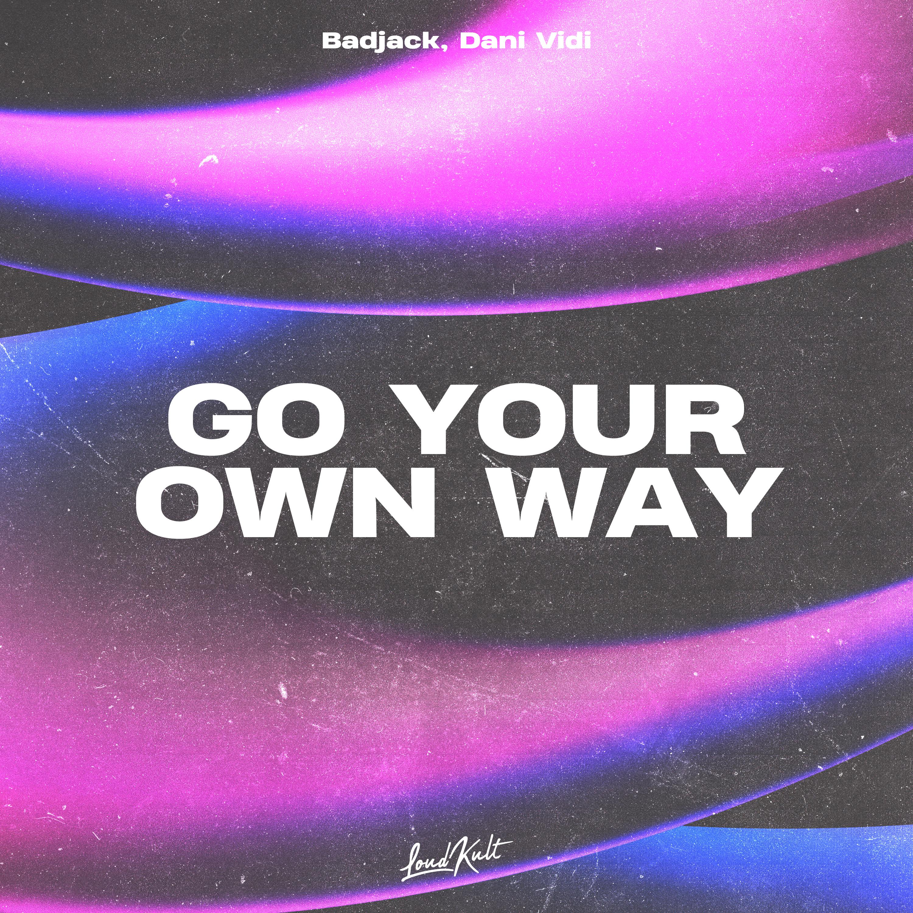 Постер альбома Go your own way