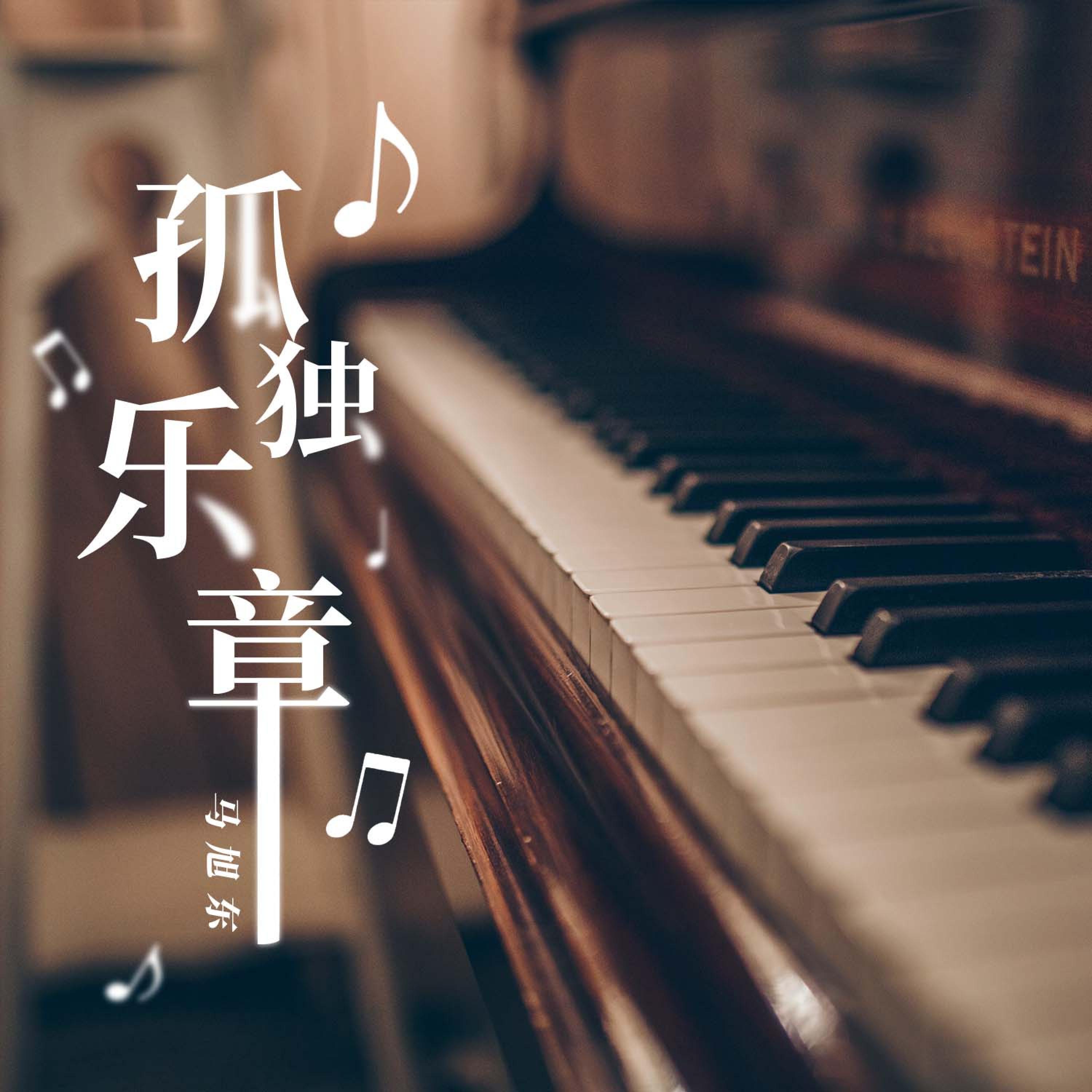 Постер альбома 孤独乐章