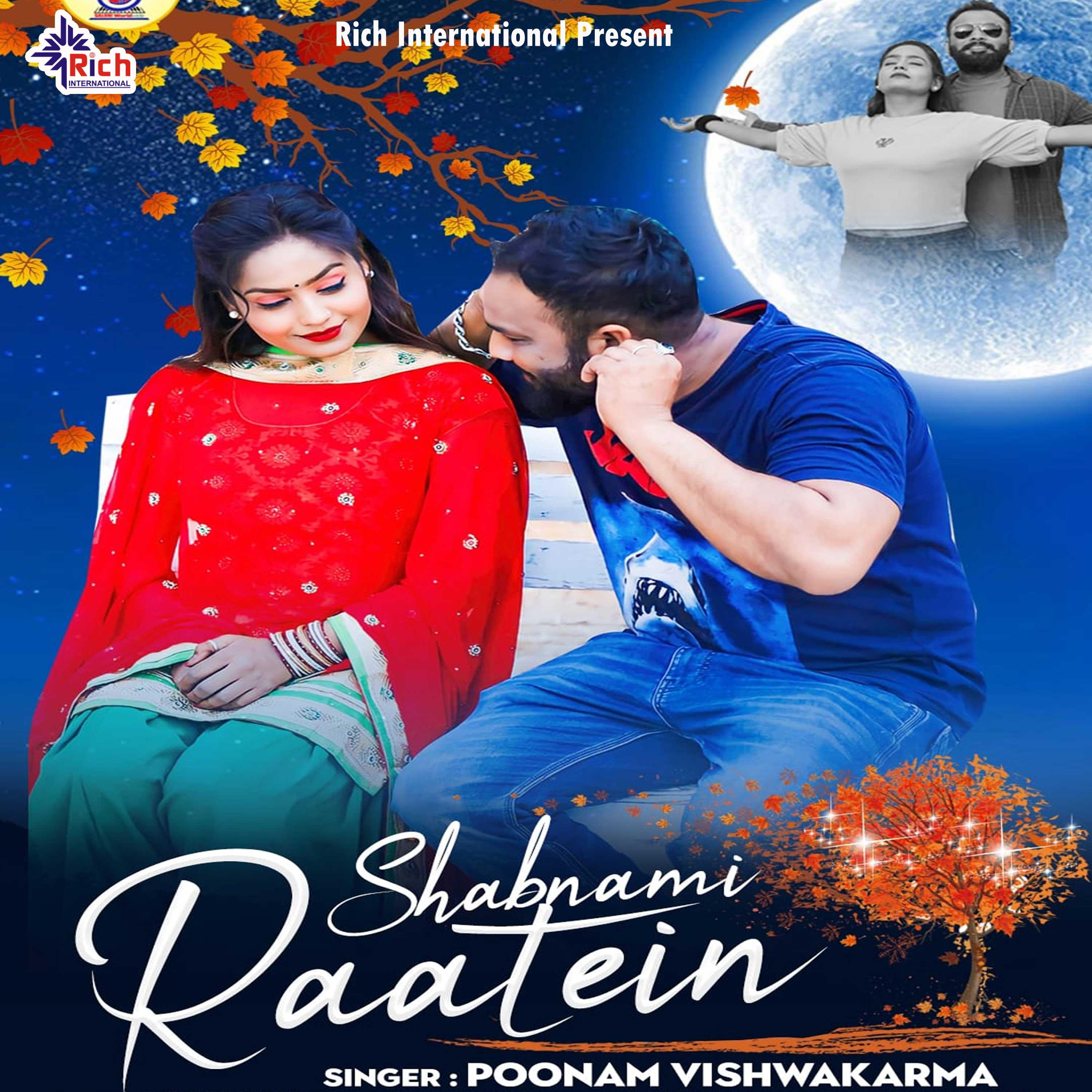 Постер альбома Shabnami Raatein