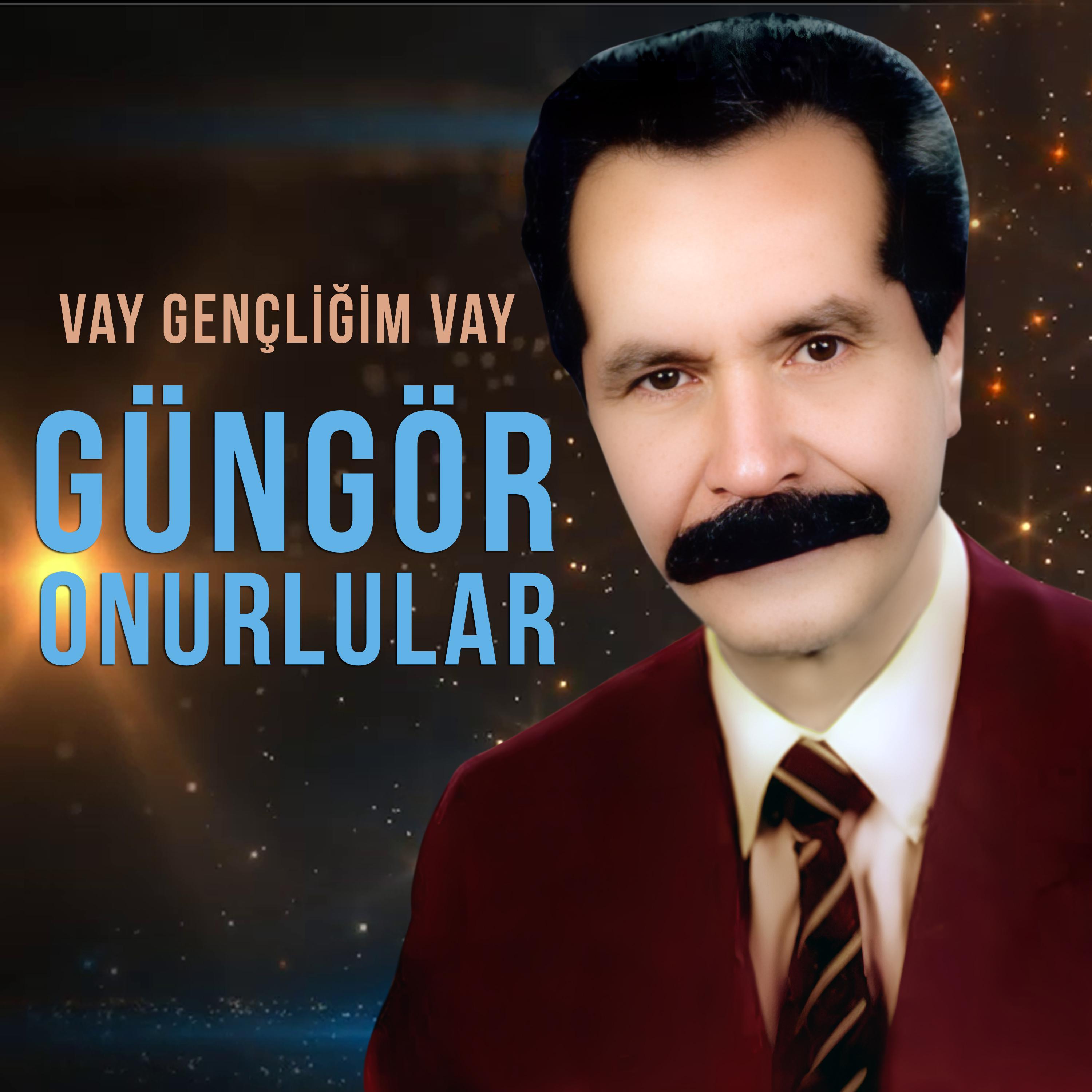 Постер альбома Vay Gençliğim Vay