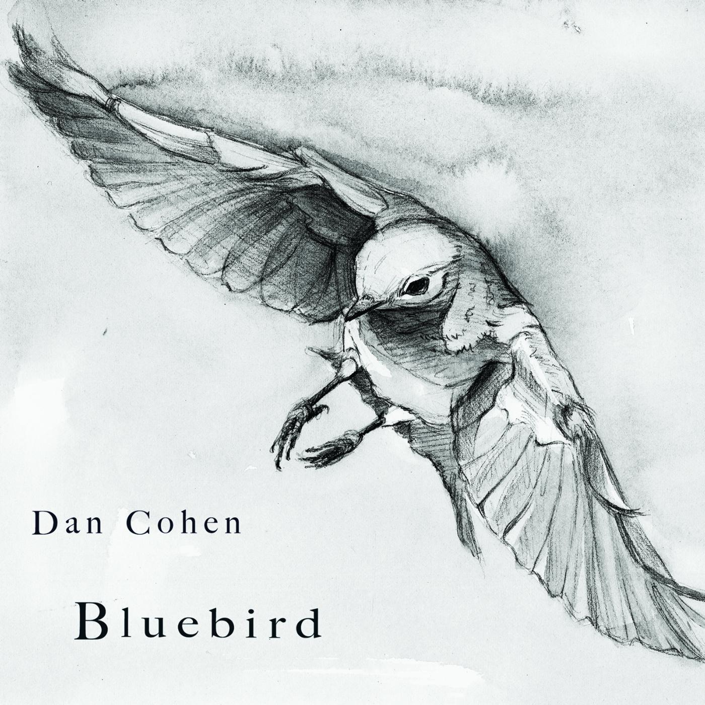 Постер альбома Bluebird