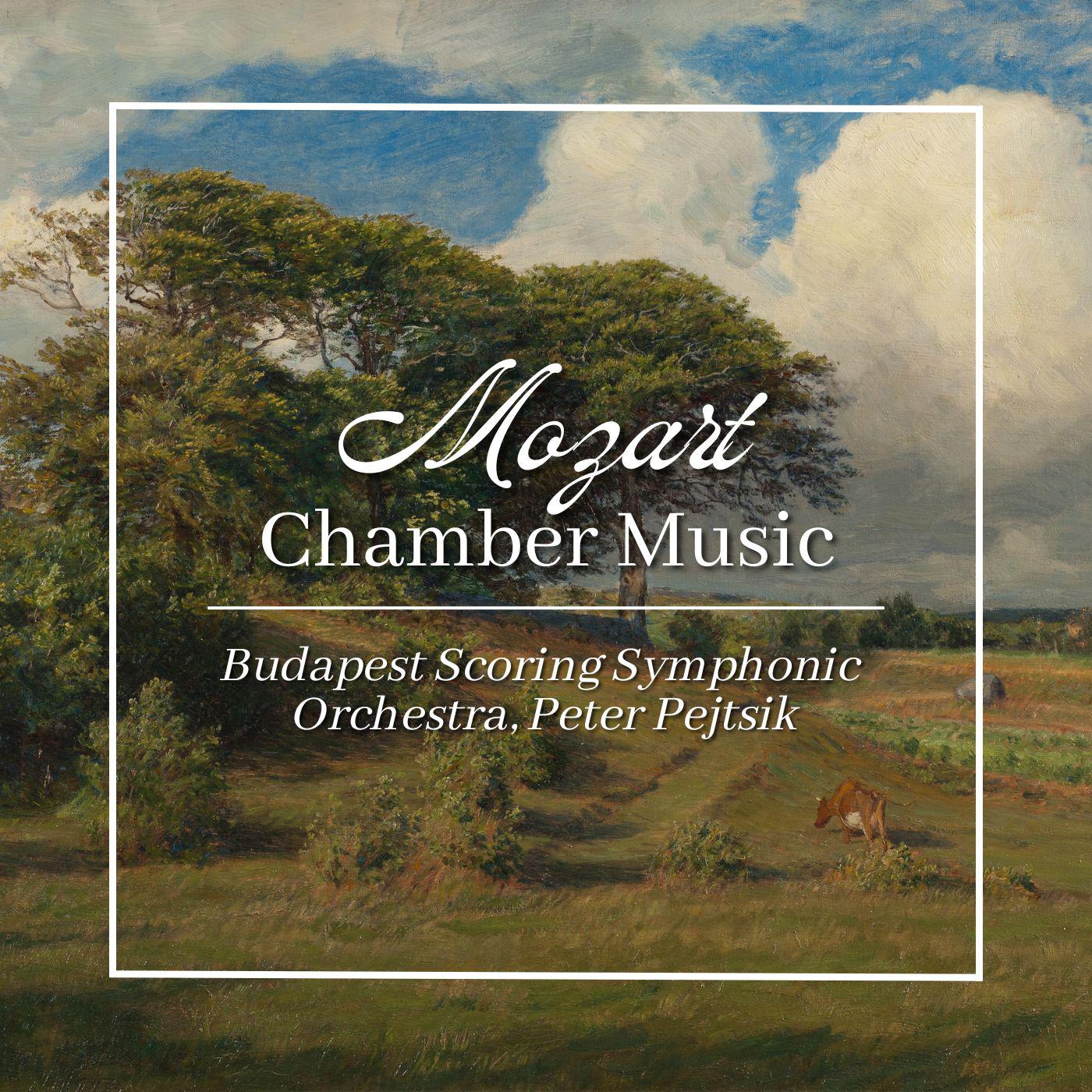 Постер альбома Mozart: Chamber Music