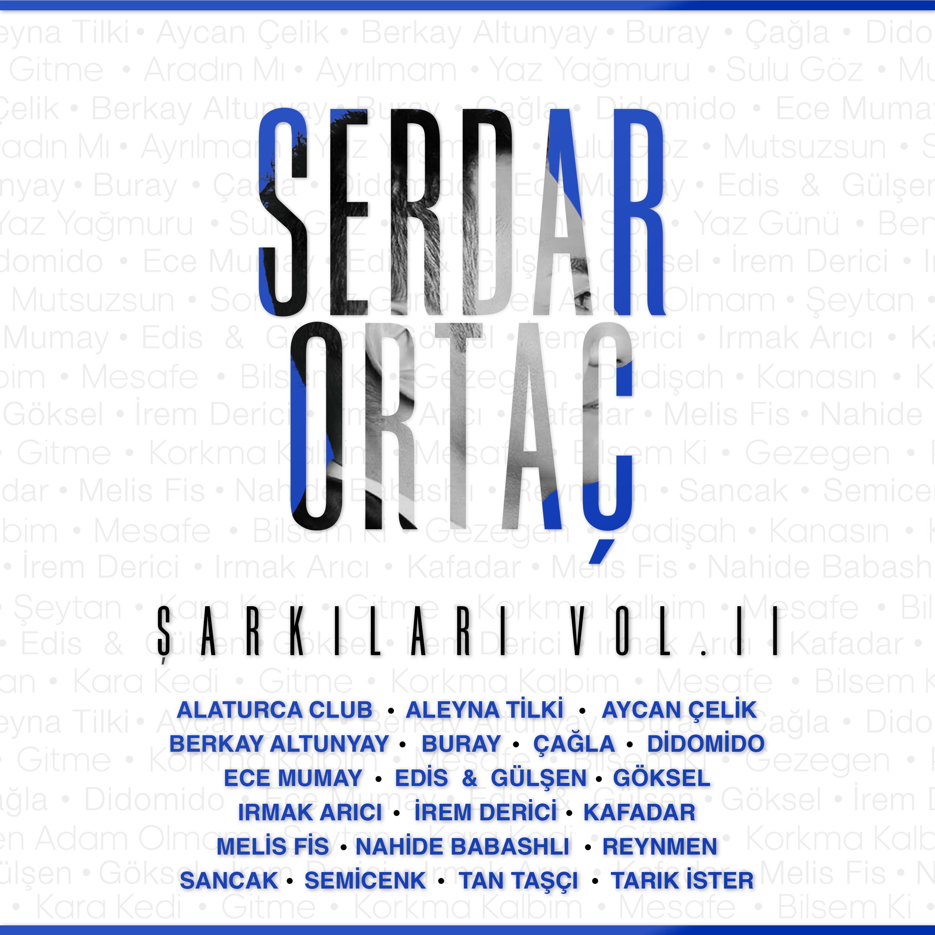 Постер альбома Serdar Ortaç Şarkıları, Vol. 2