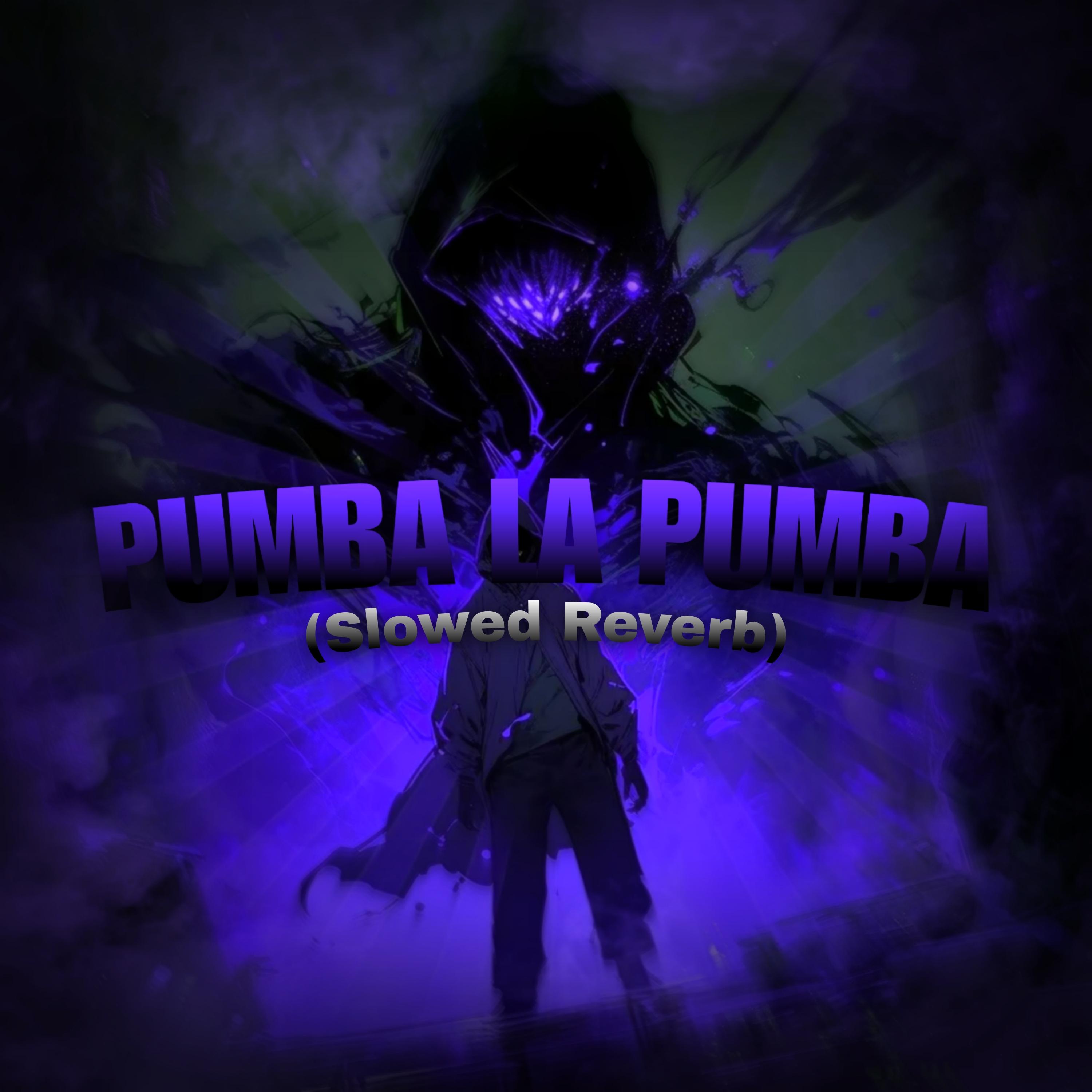 Постер альбома Pumba La Pumba (Slowed Reverb)