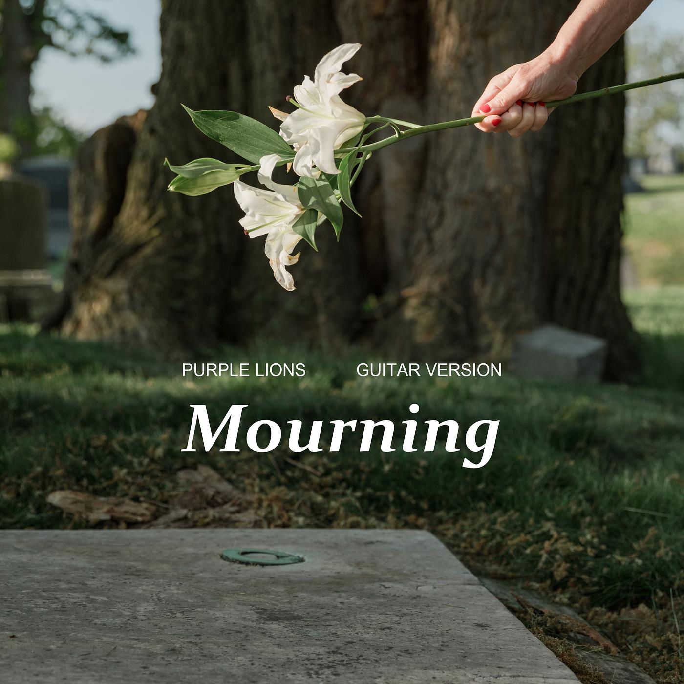 Постер альбома Mourning (Guitar Version)