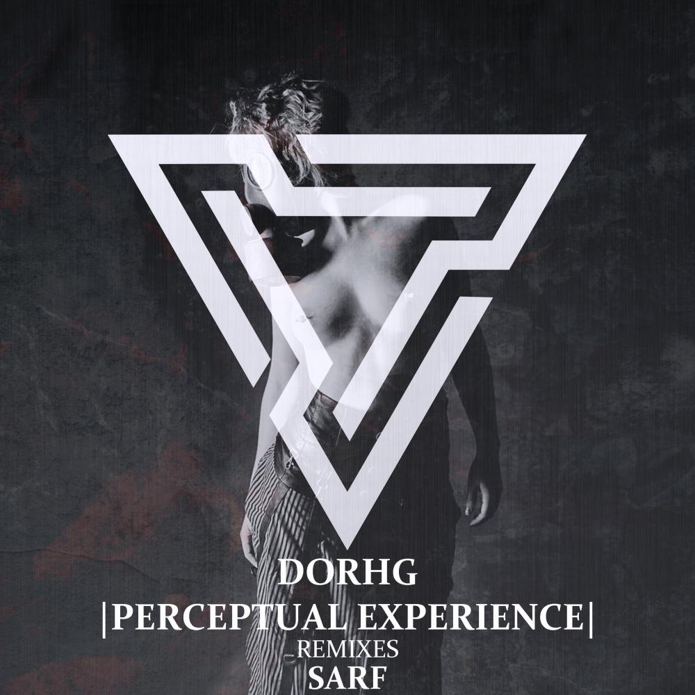 Постер альбома Perceptual Experience