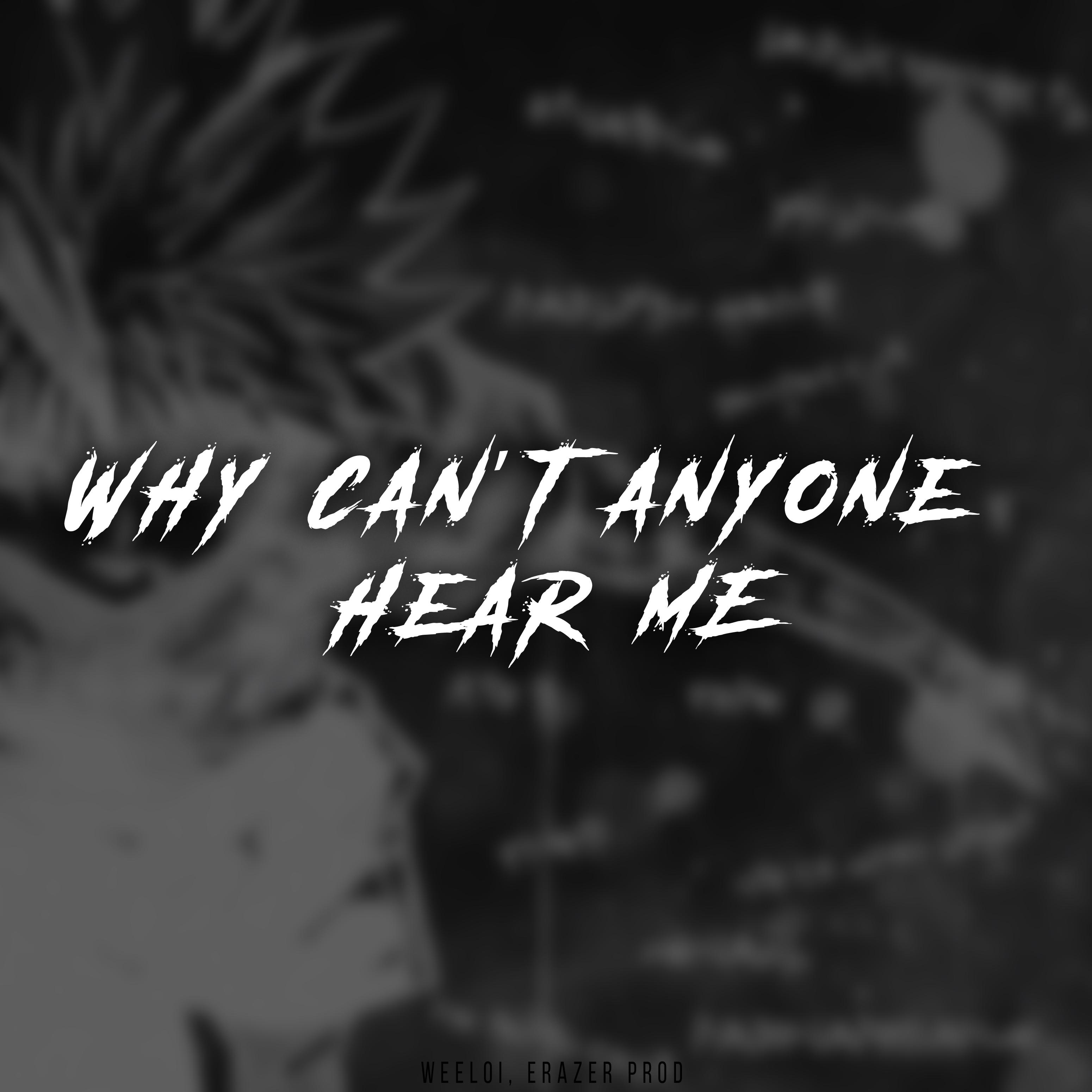 Постер альбома Why Can't Anyone Hear me?