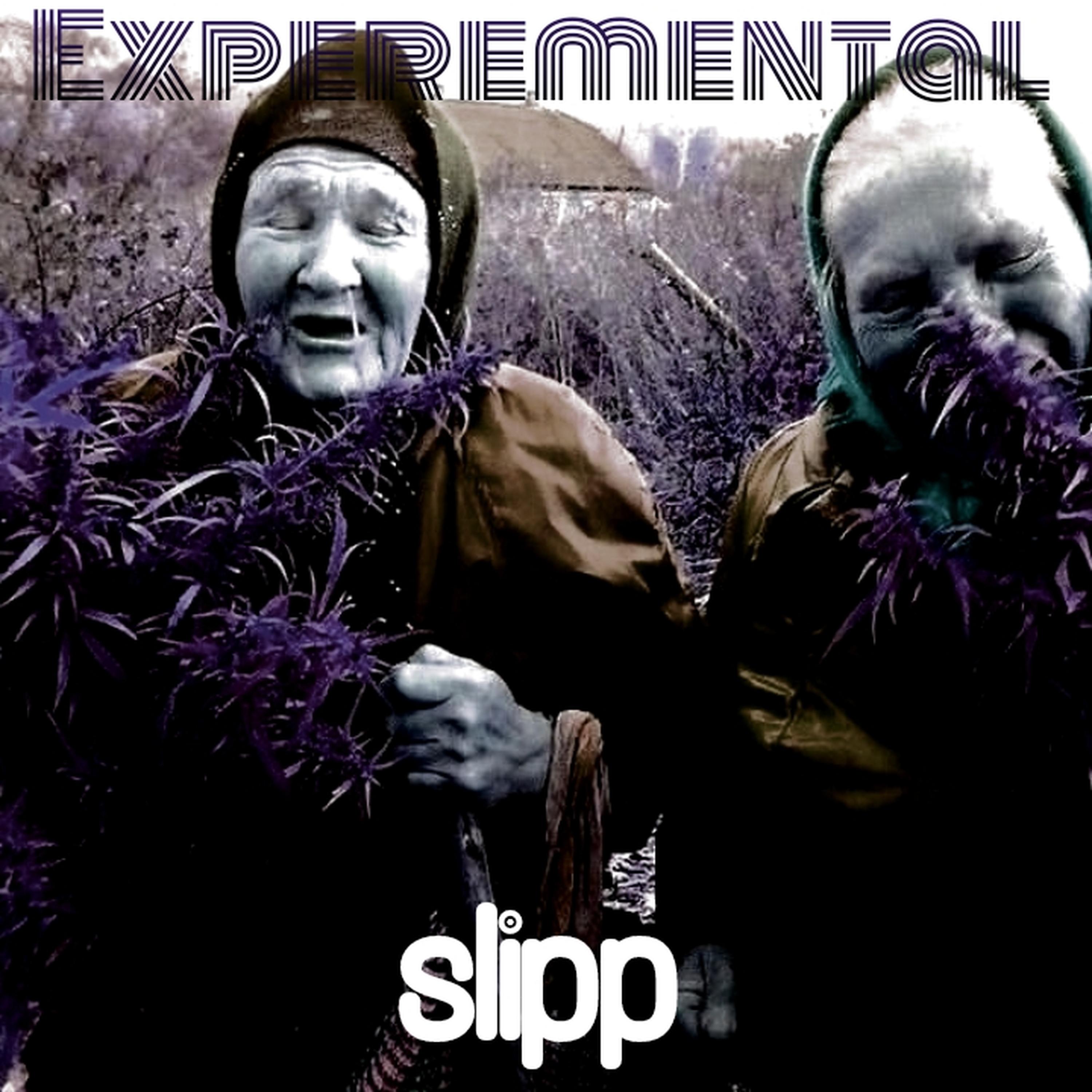 Постер альбома Experemental